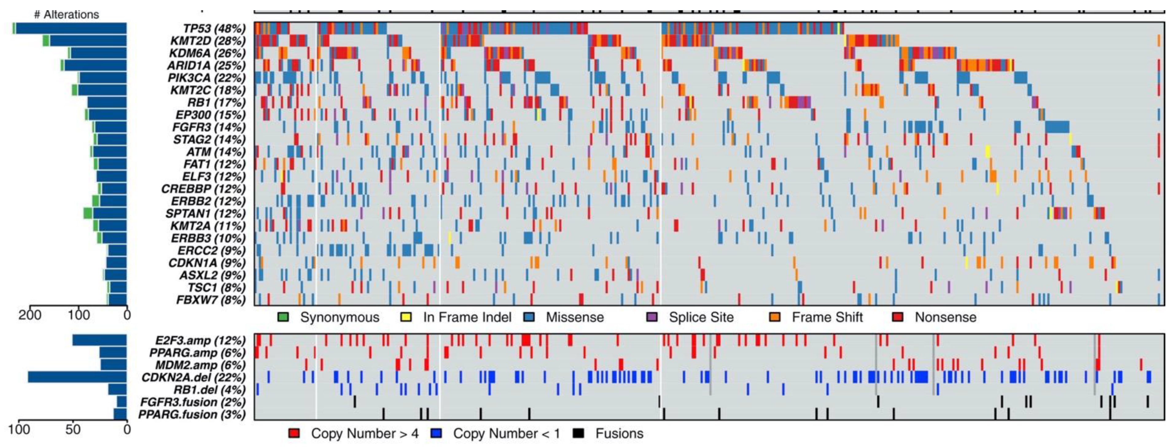 Cancers 14 05431 g001