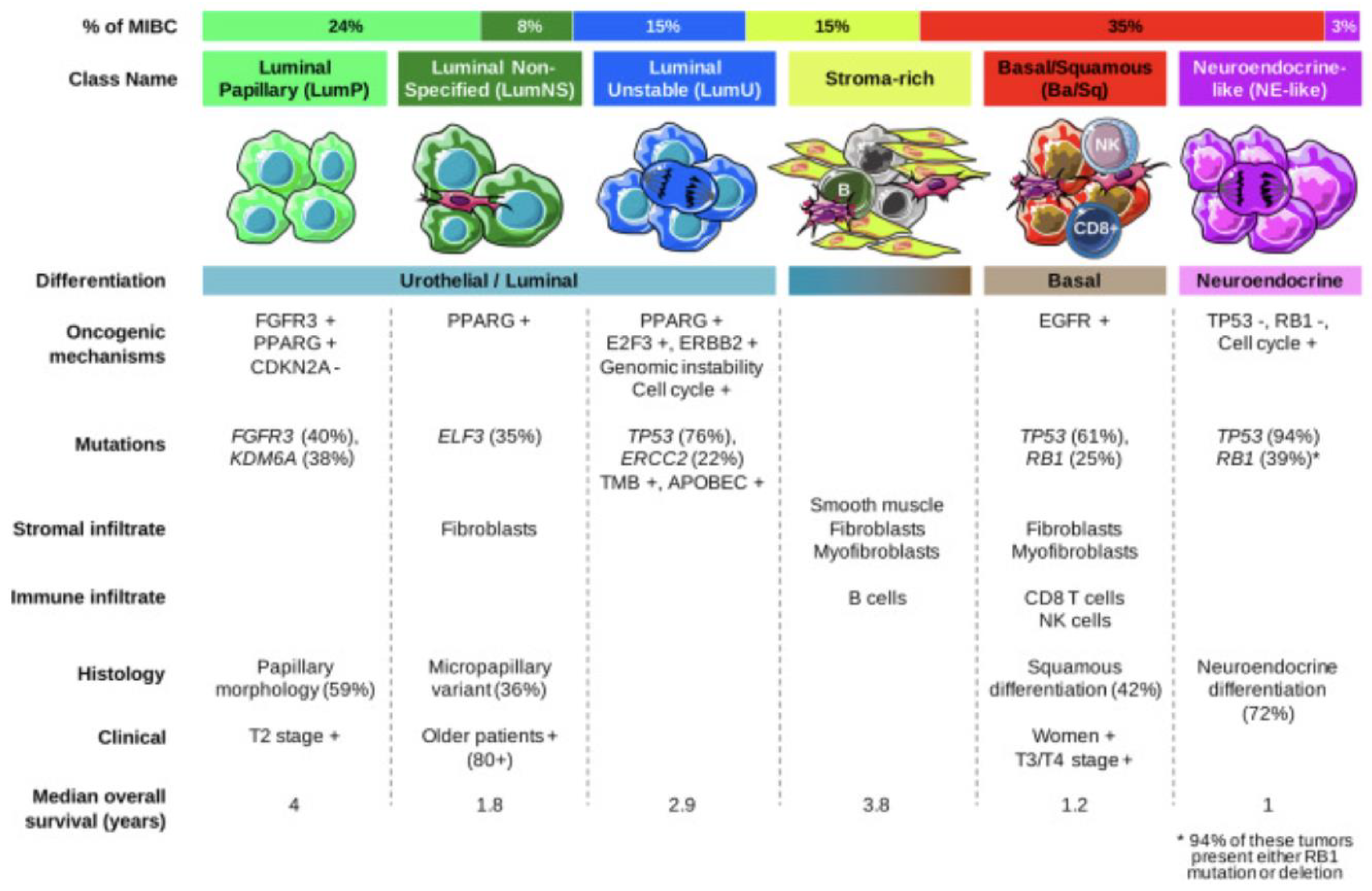 Cancers 14 05431 g002