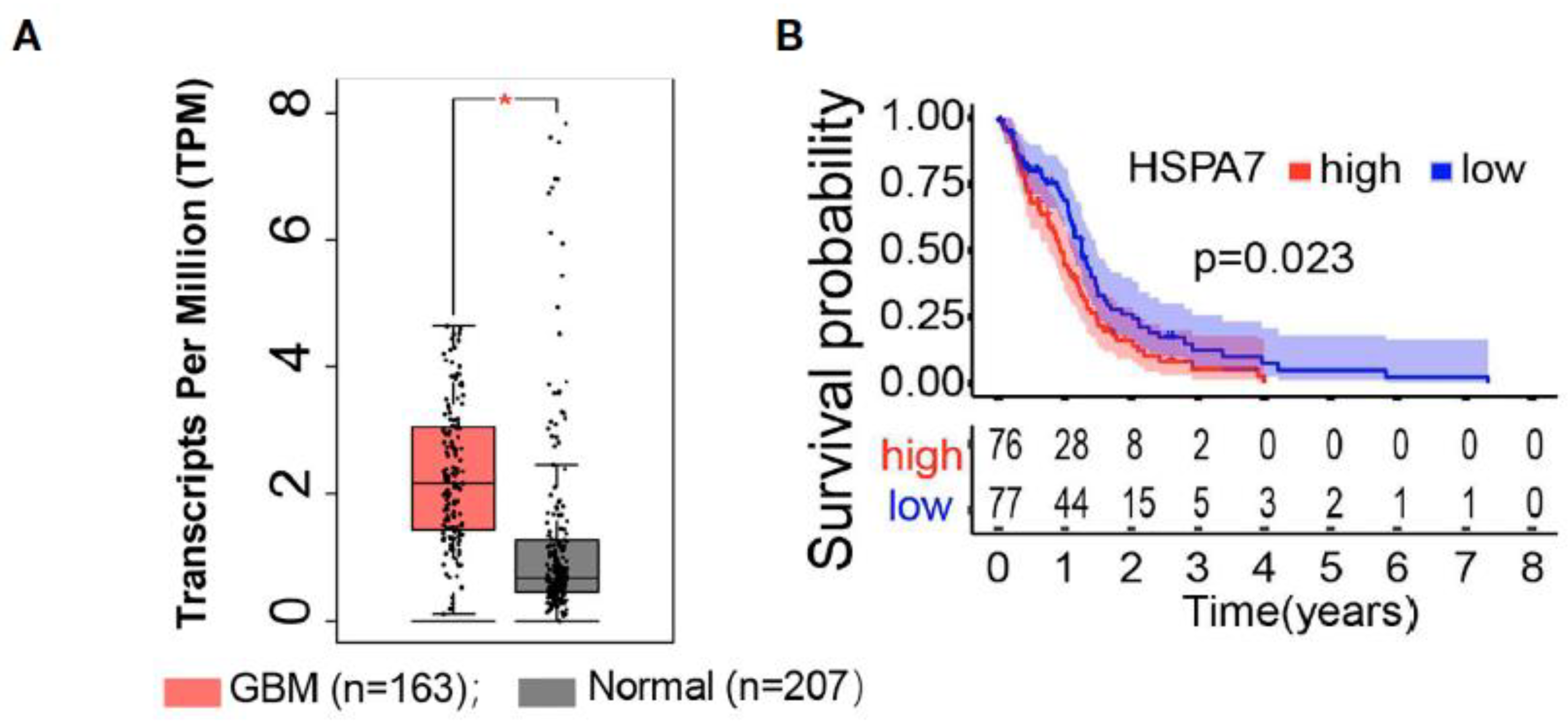 Cancers 14 05435 g007 Cancers 14 05435 g007