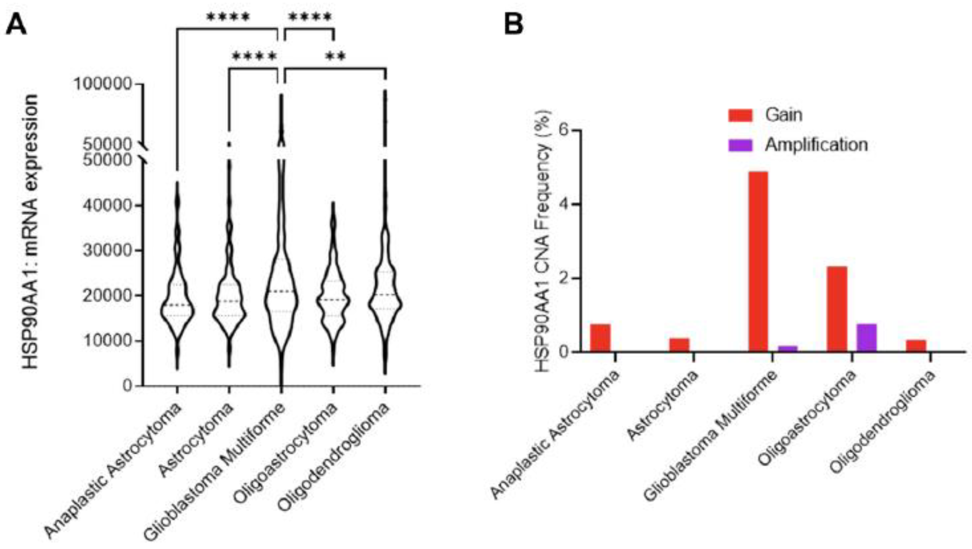 Cancers 14 05435 g008 Cancers 14 05435 g008