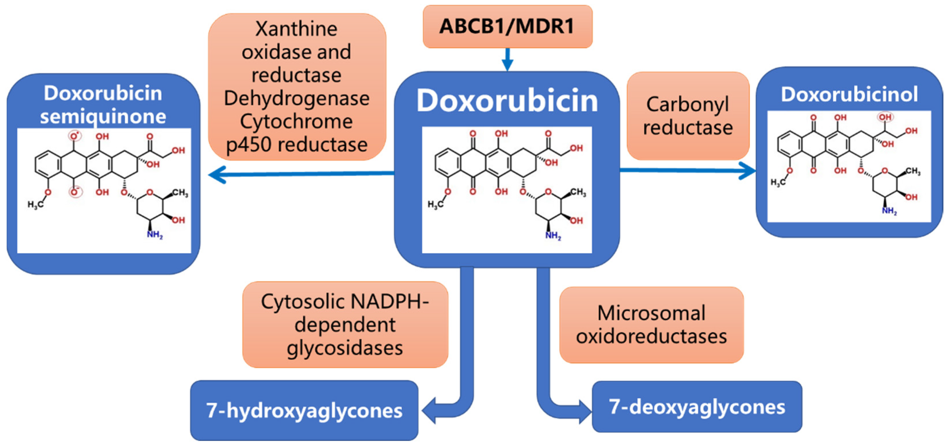 Cancers 14 05436 g001