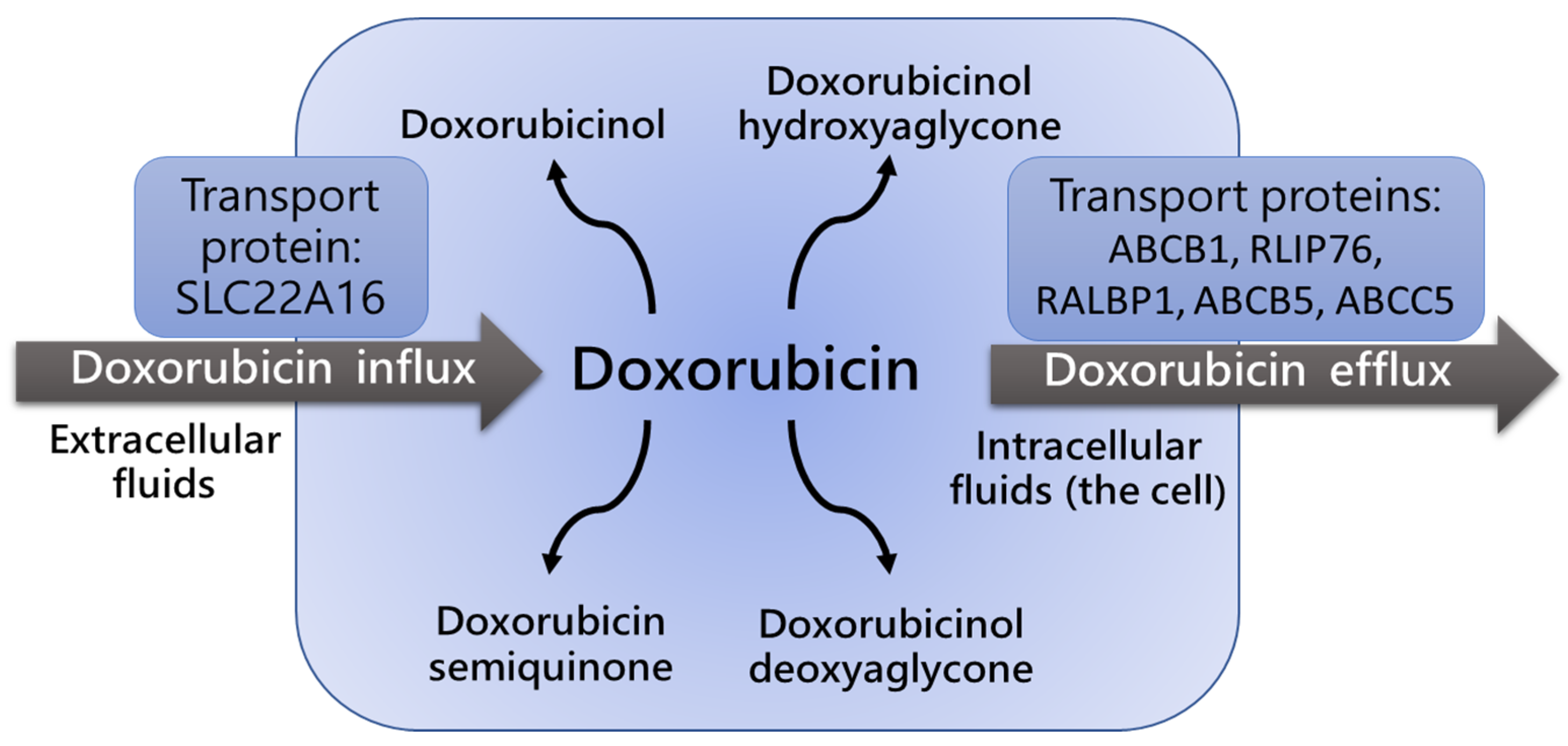 Cancers 14 05436 g002