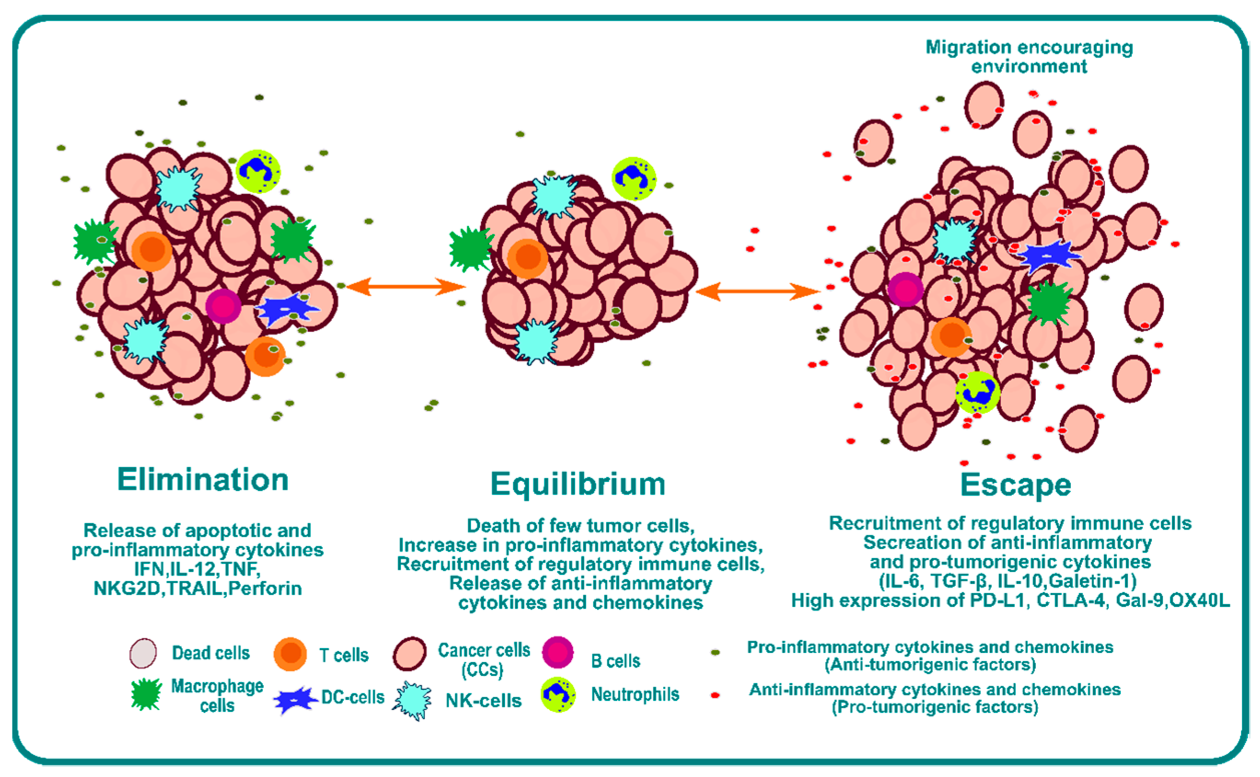 Cancers 14 05438 g001