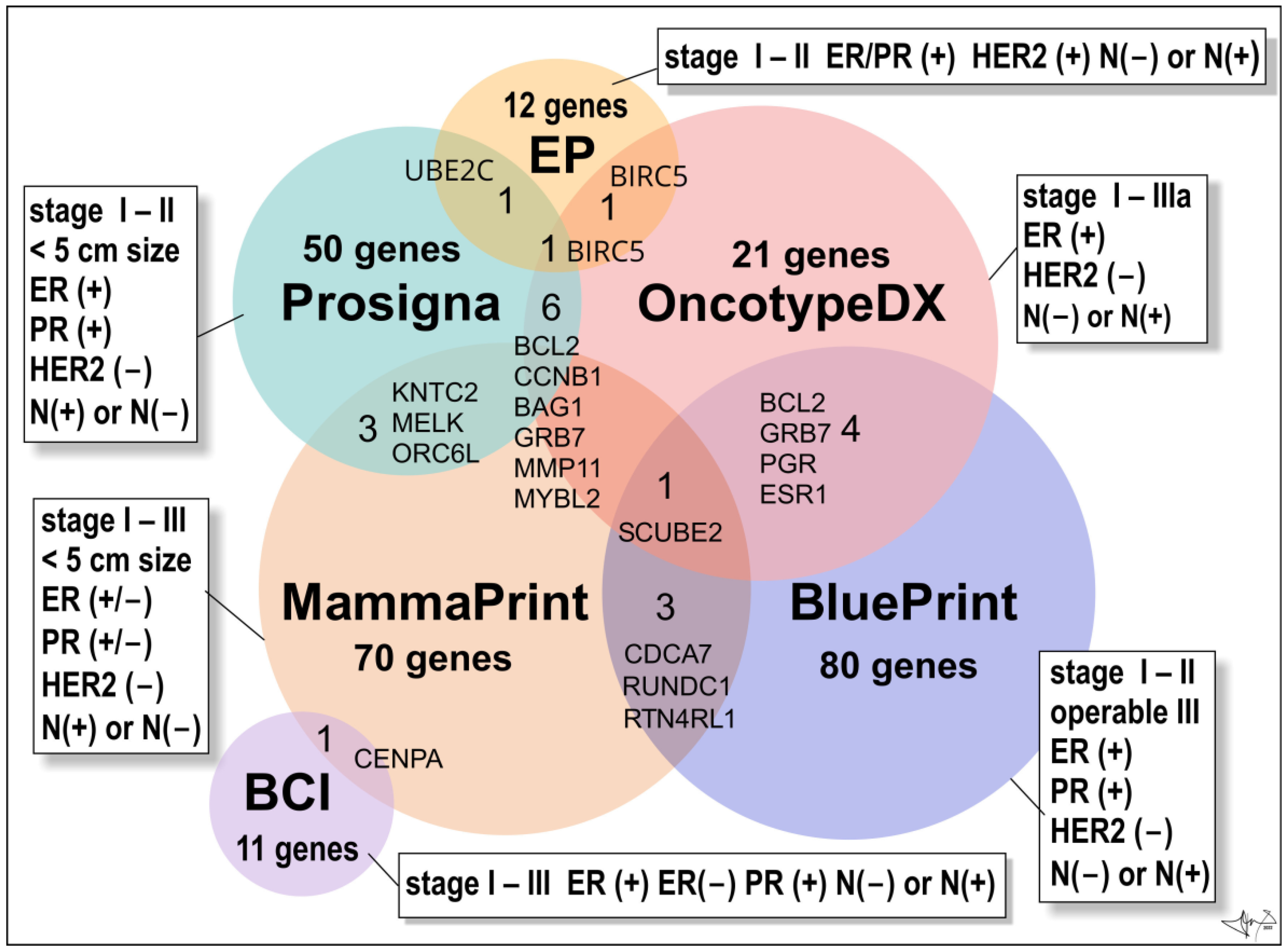 Cancers 14 05444 g005