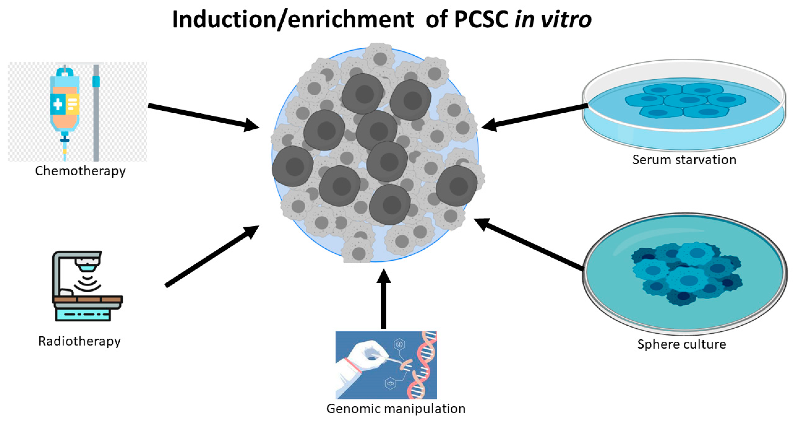 Cancers 14 05448 g001