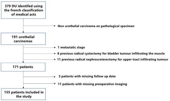 Cancers 14 05452 g001