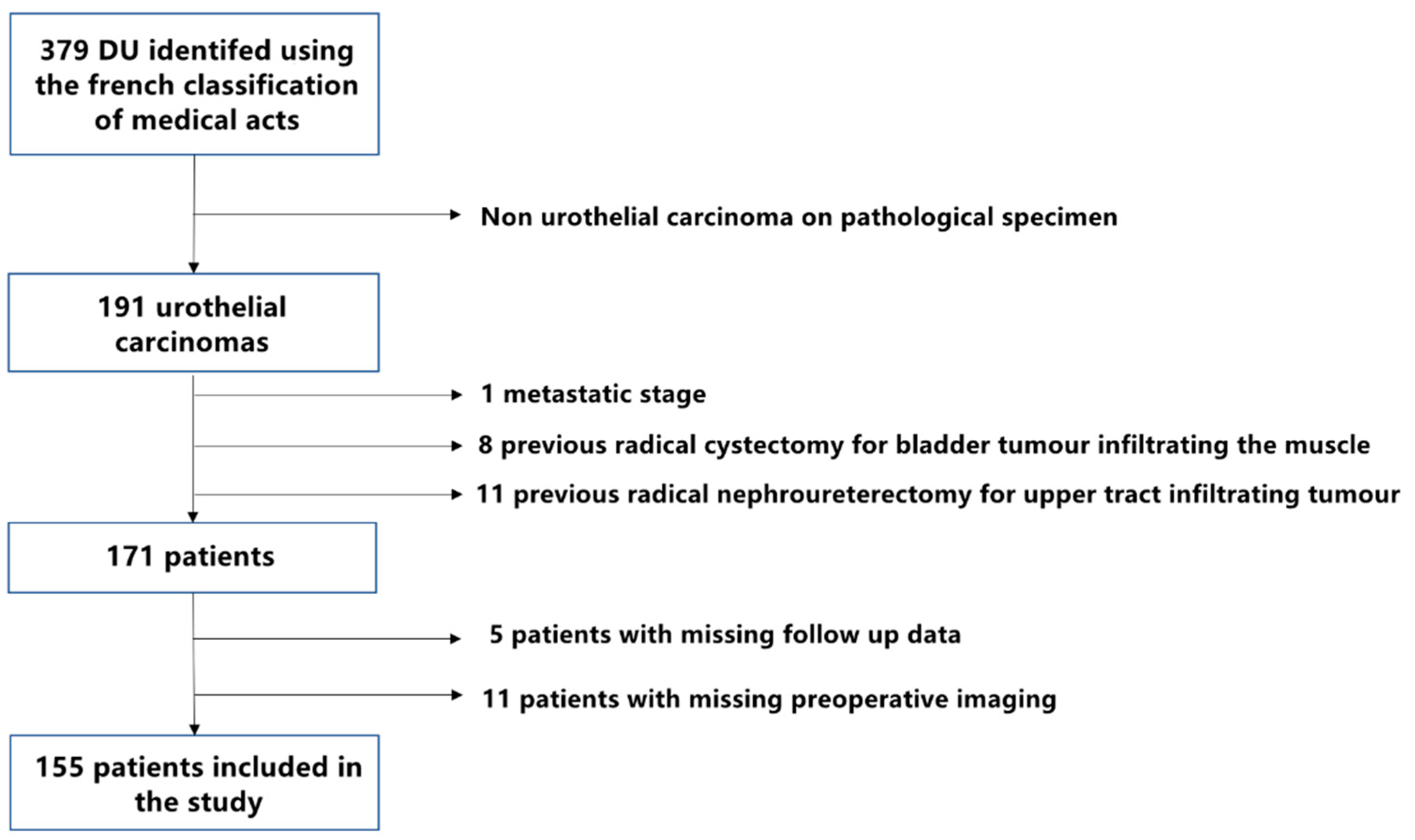 Cancers 14 05452 g001