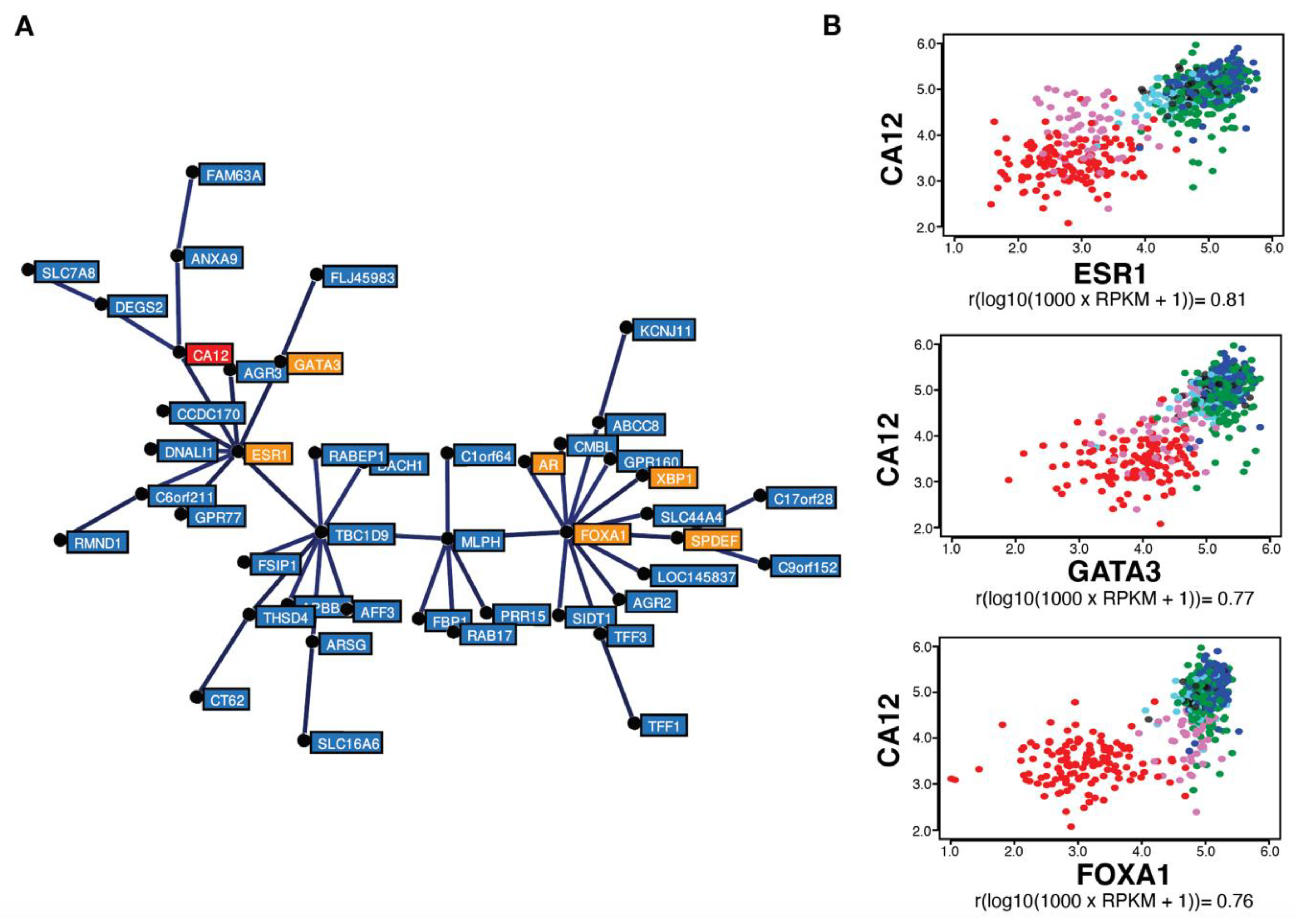Cancers 14 05453 g002