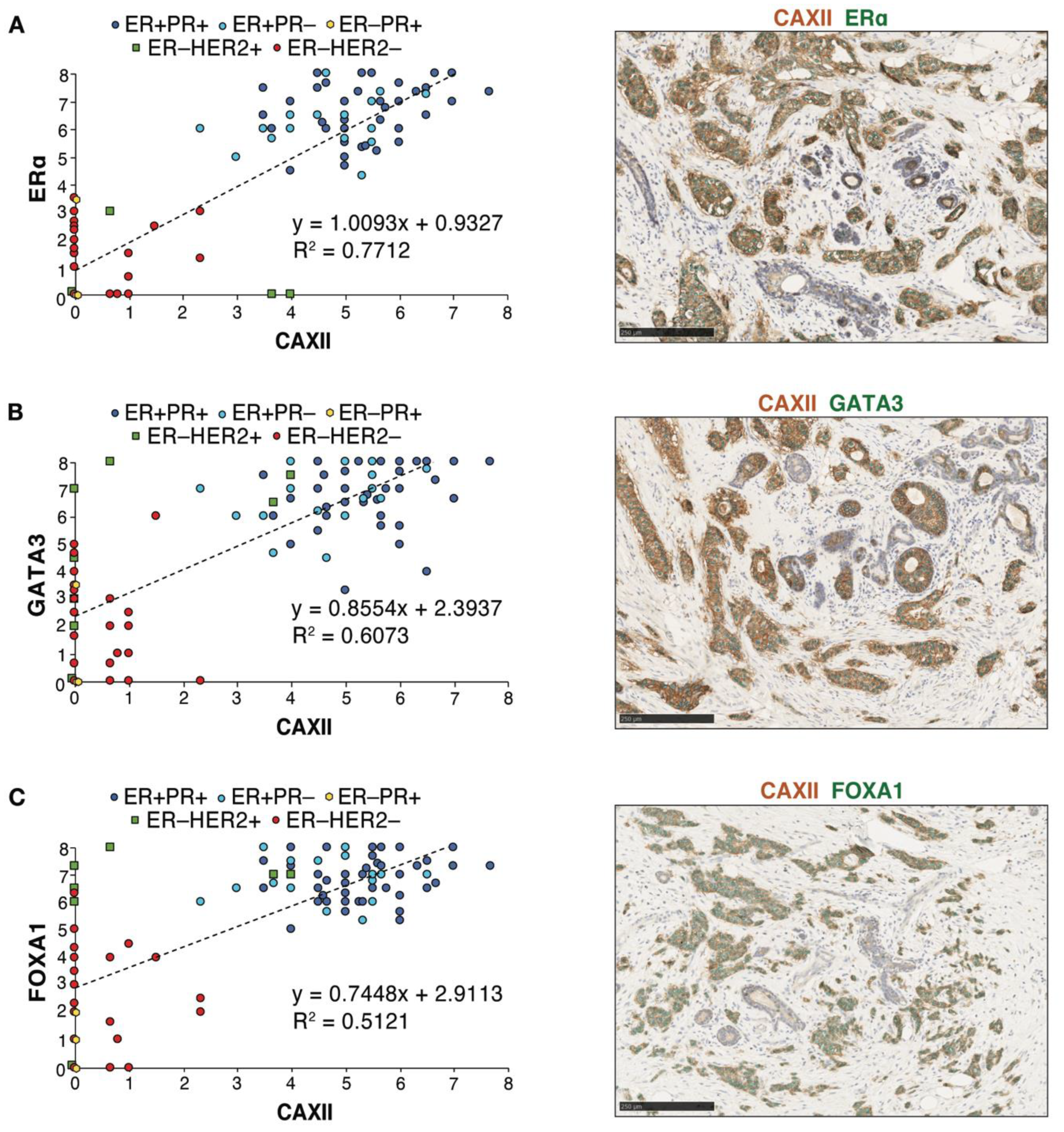 Cancers 14 05453 g006