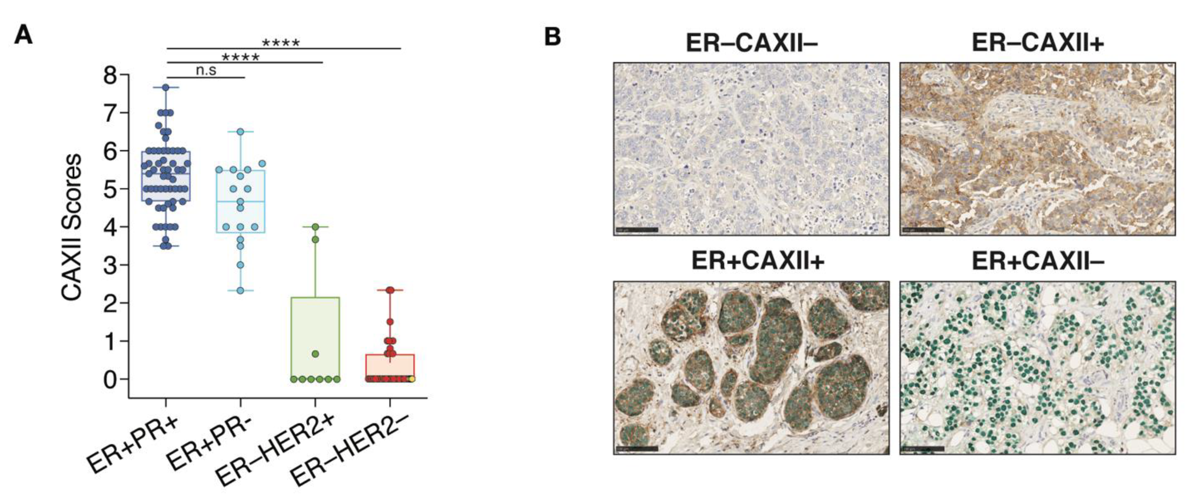 Cancers 14 05453 g007