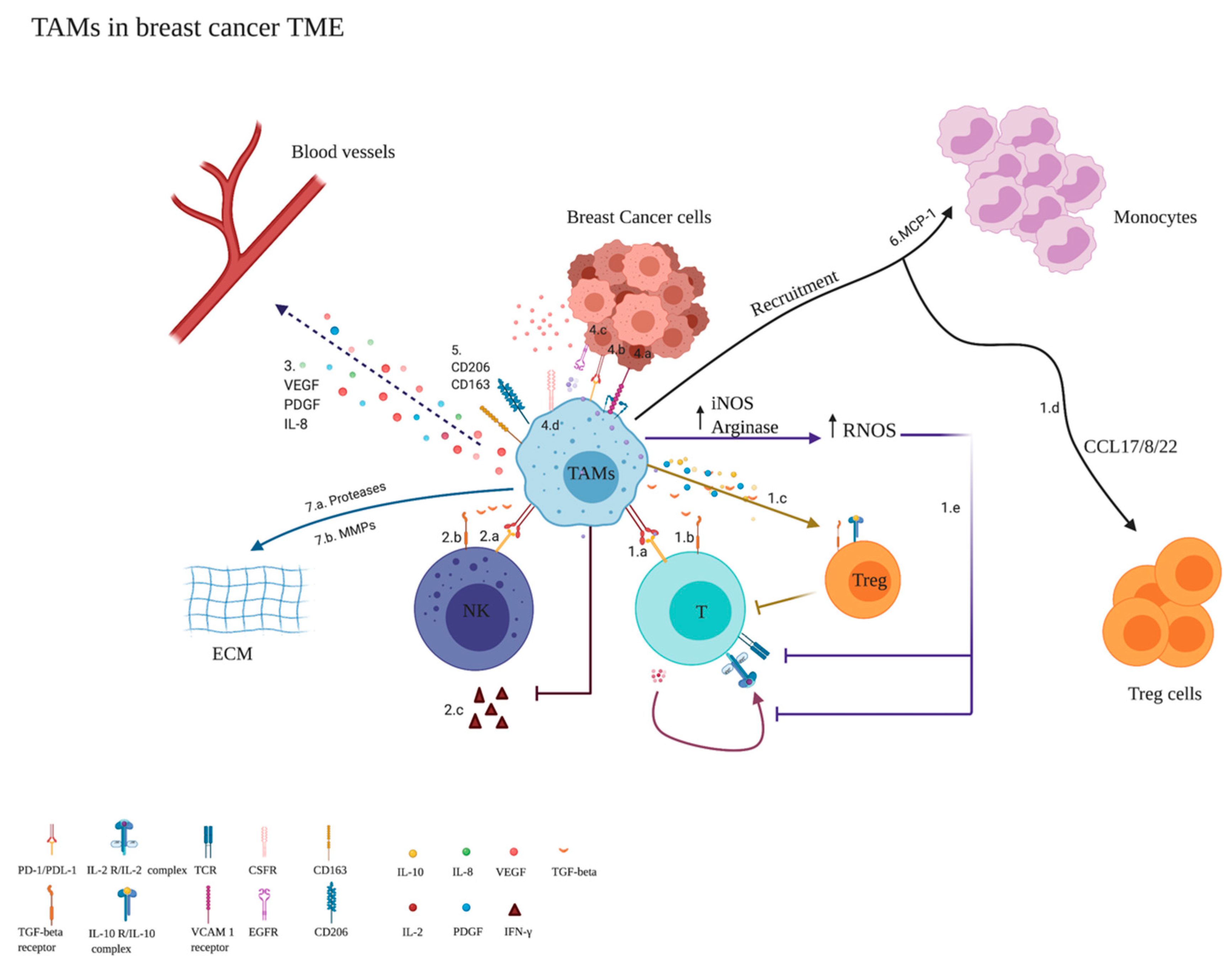 Cancers 14 05460 g001