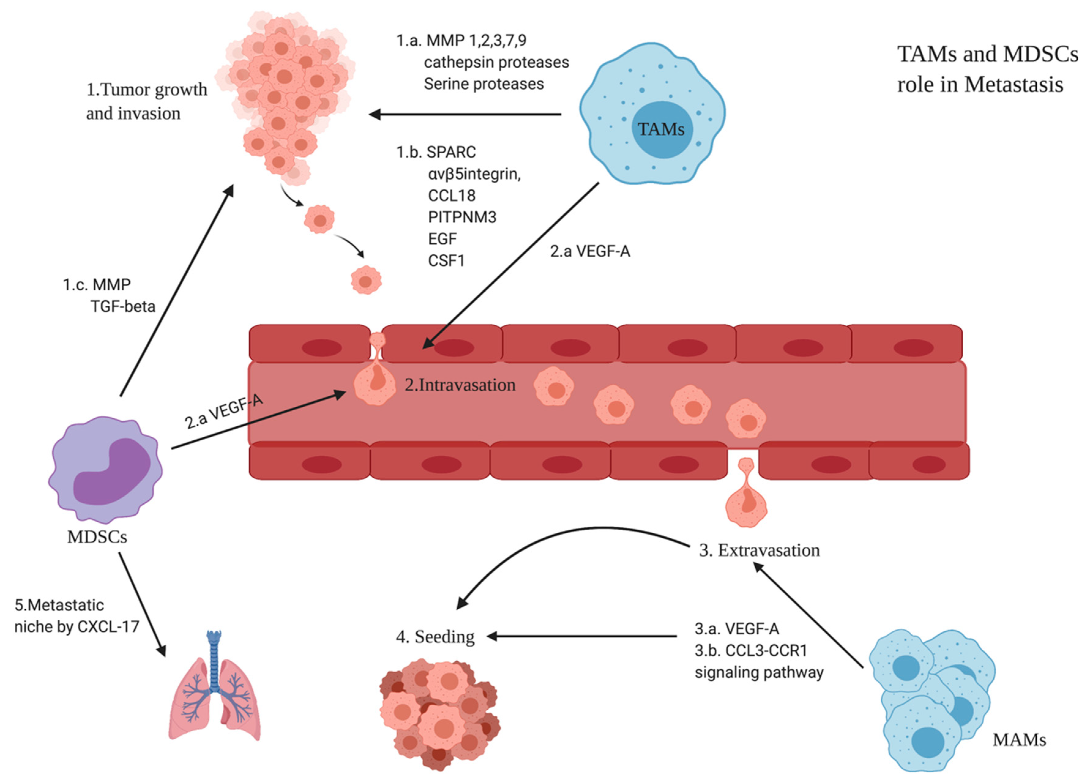 Cancers 14 05460 g003