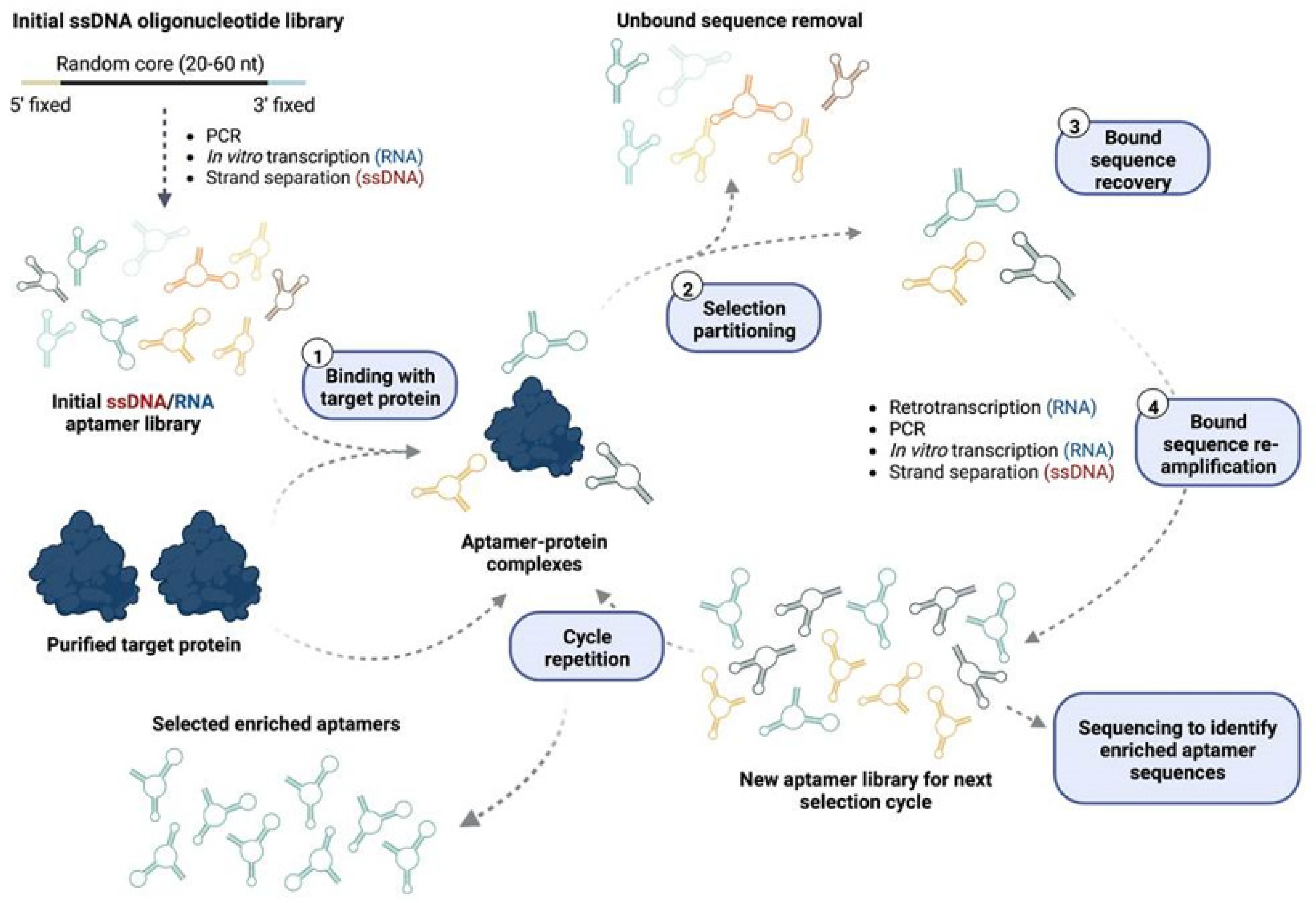 Cancers 14 05471 g001