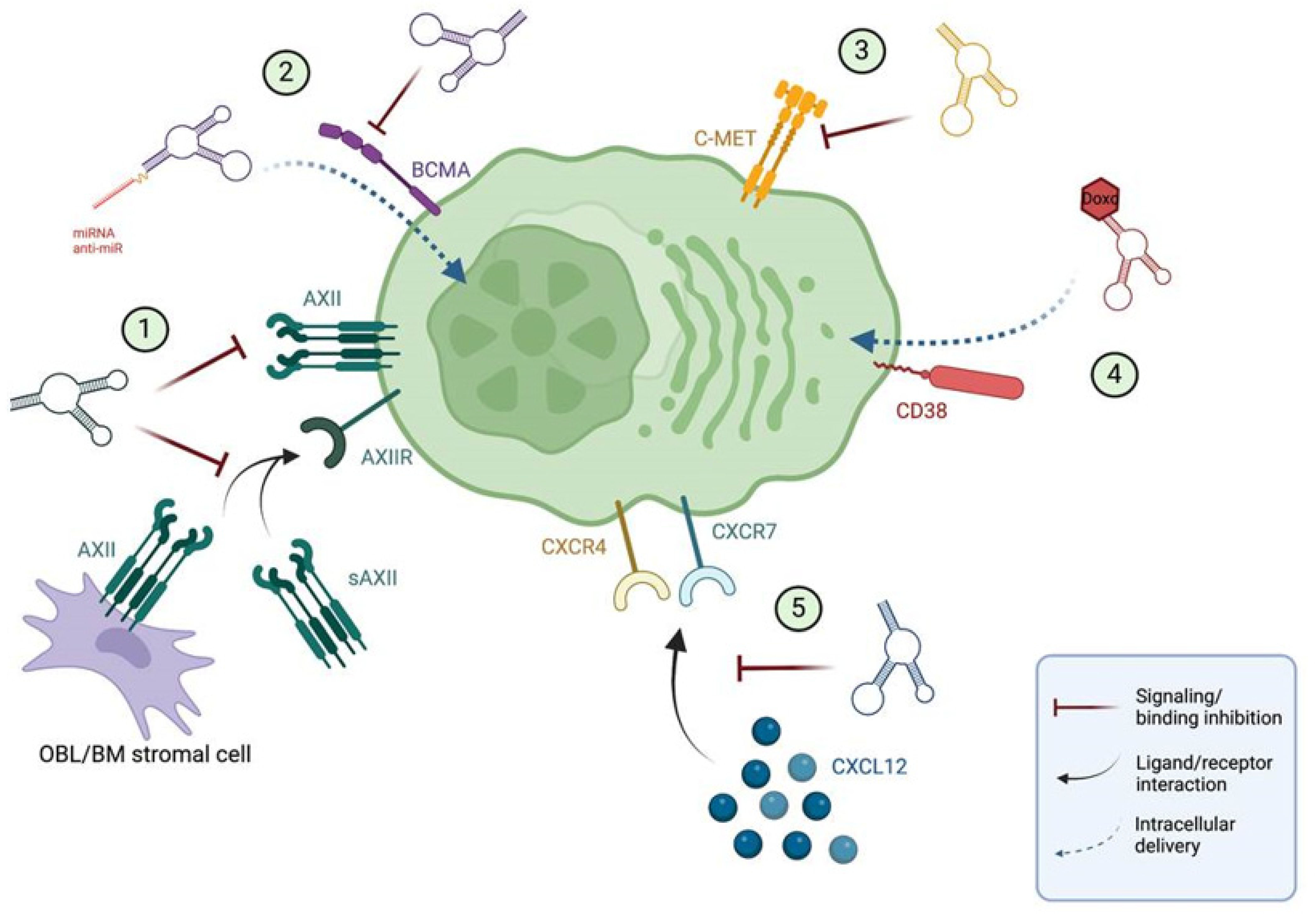 Cancers 14 05471 g002