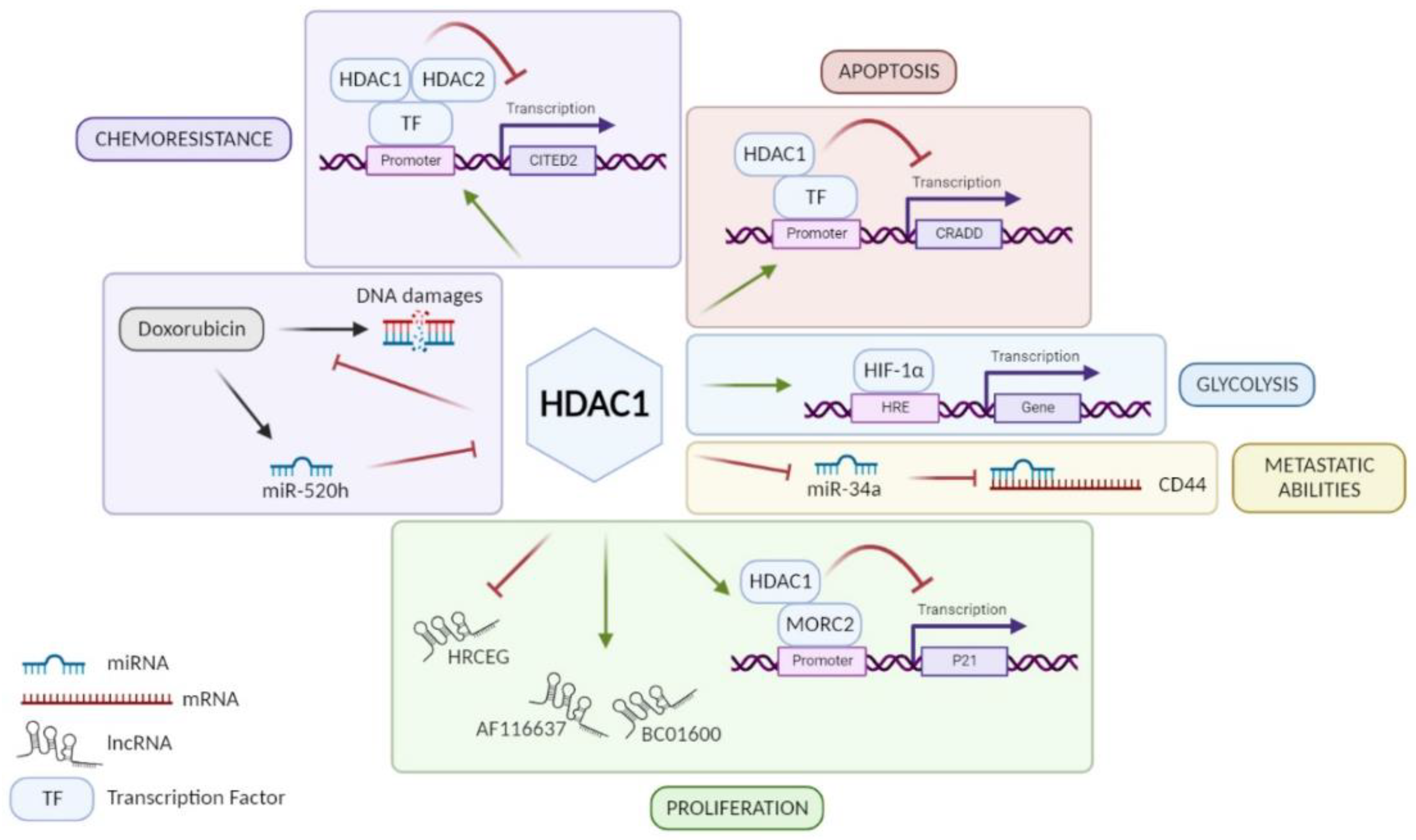 Cancers 14 05472 g001