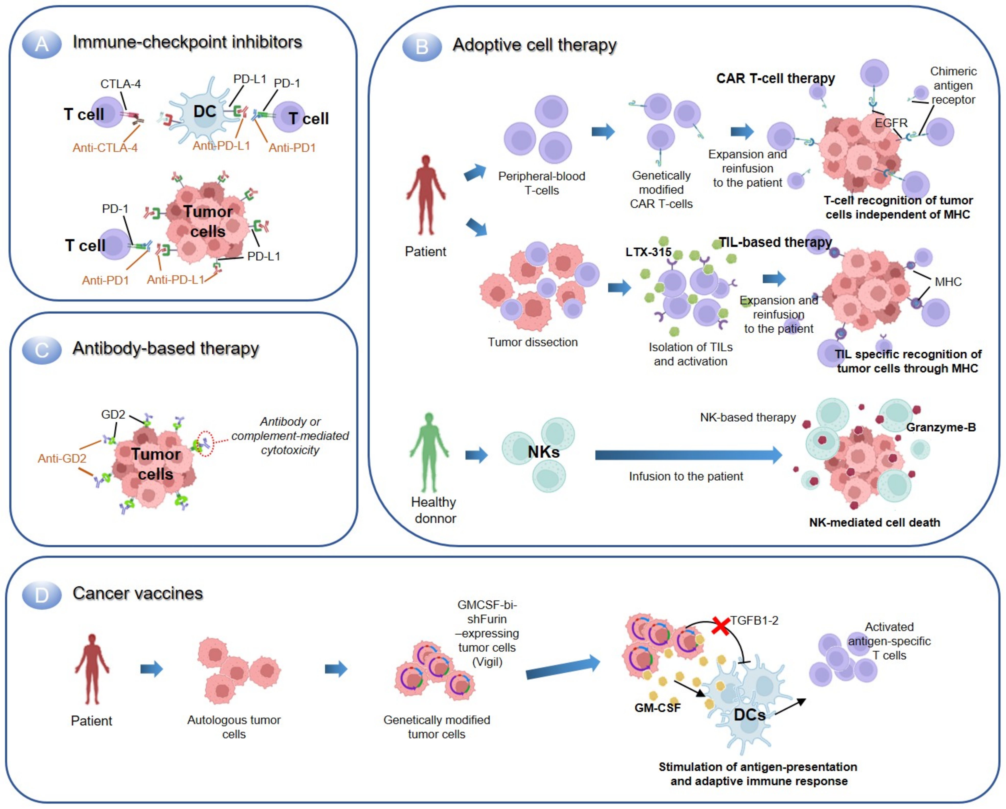 Cancers 14 05473 g001