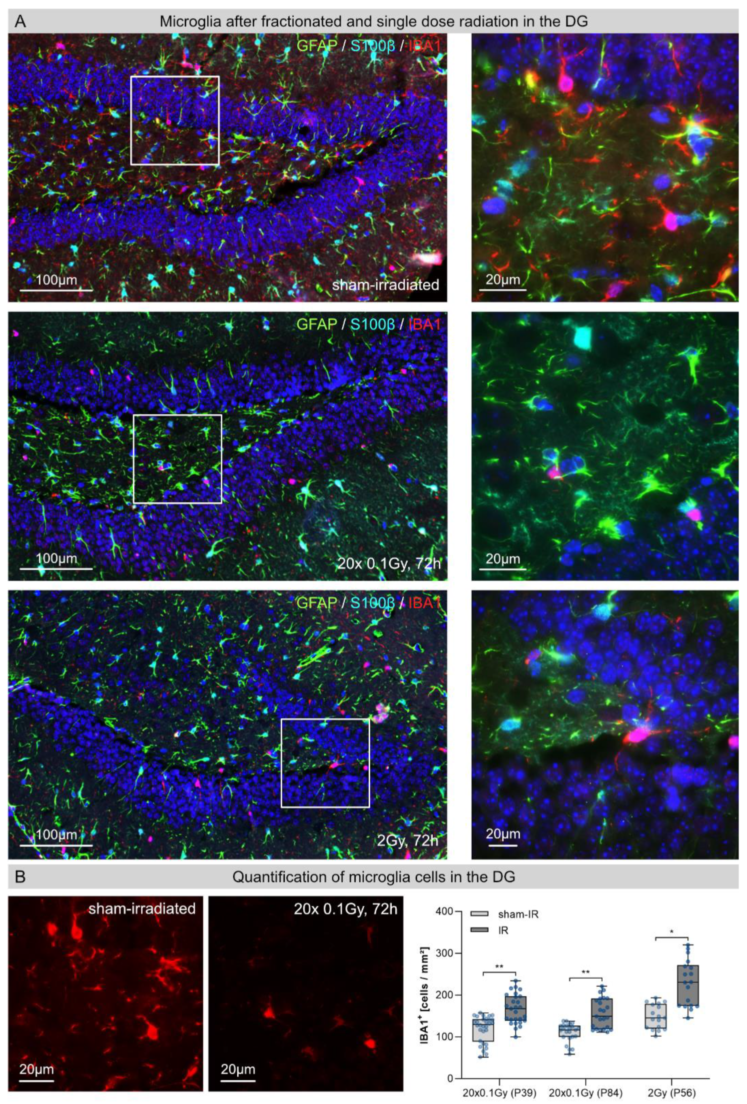 Cancers 14 05477 g002 Cancers 14 05477 g002