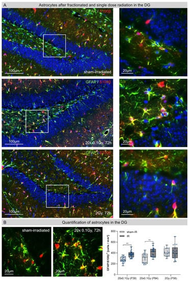 Cancers 14 05477 g003