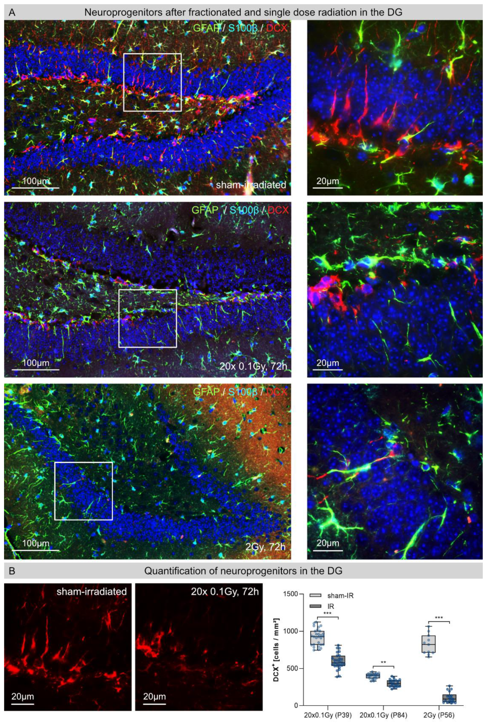 Cancers 14 05477 g004 Cancers 14 05477 g004