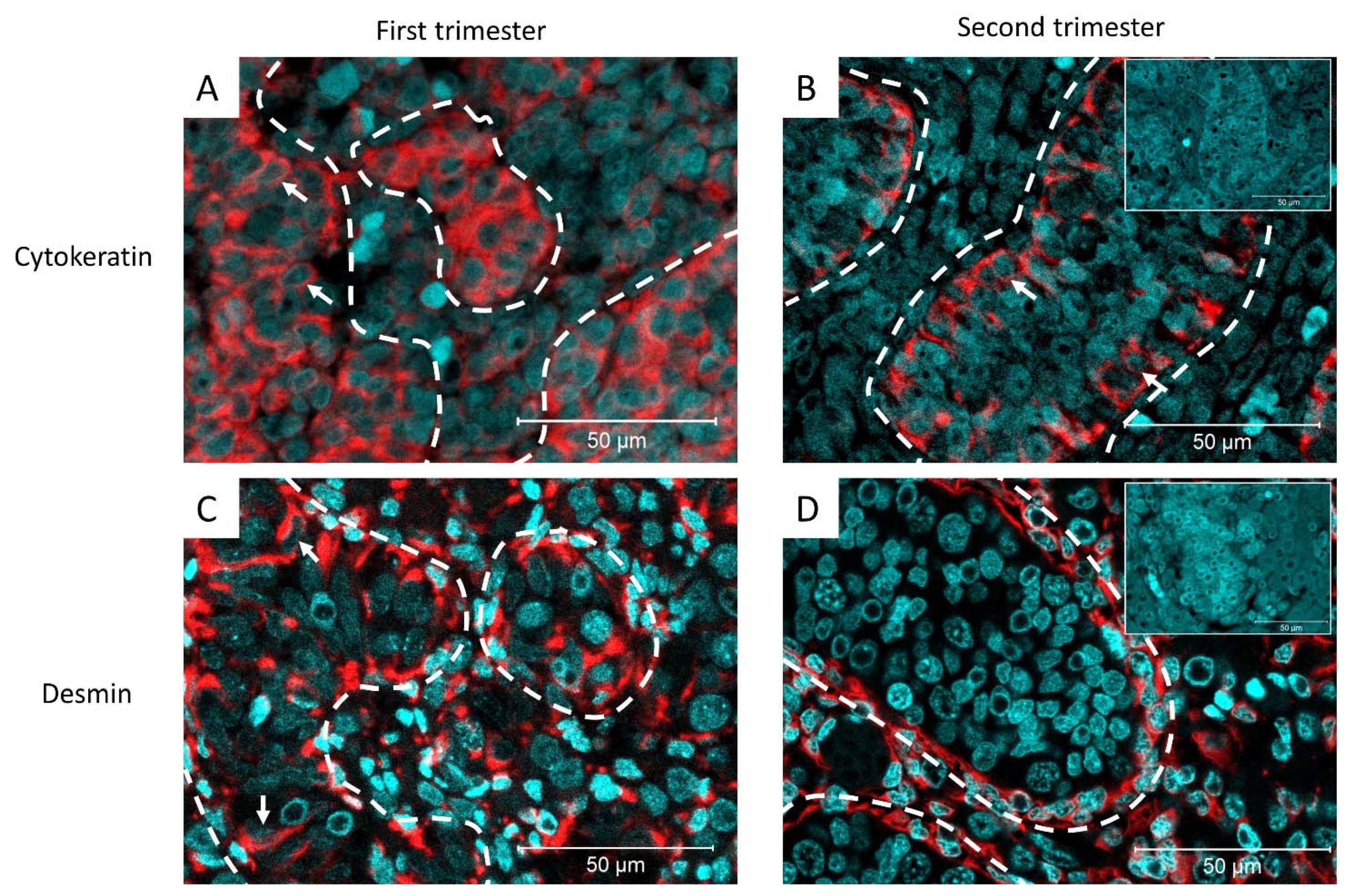 Cancers 14 05479 g001 Cancers 14 05479 g001