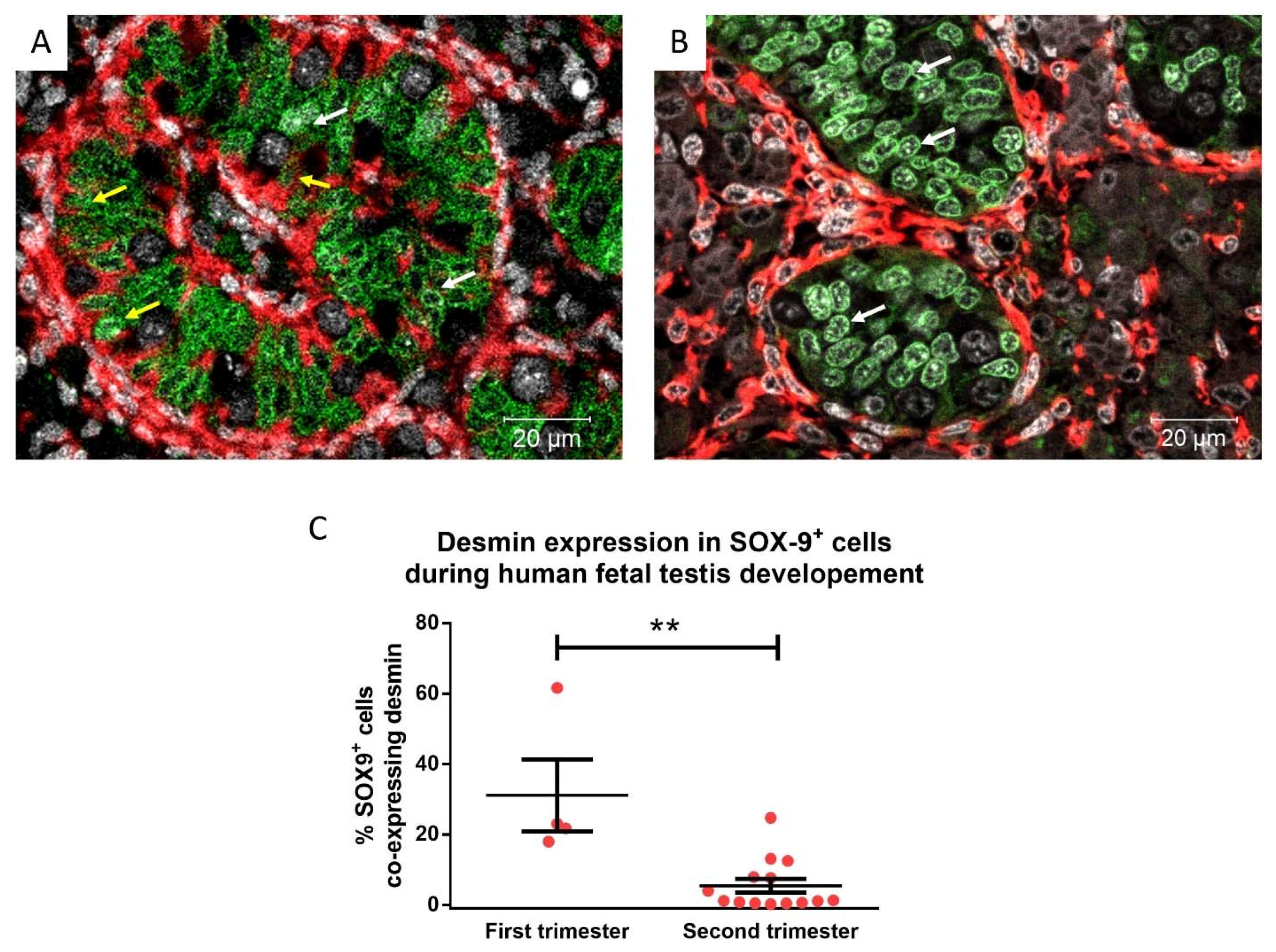 Cancers 14 05479 g002 Cancers 14 05479 g002