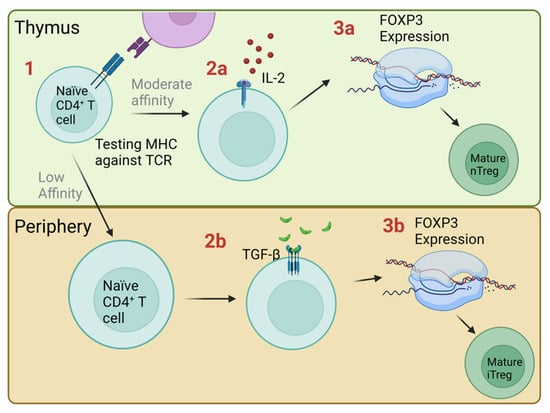 Cancers 14 05488 g002