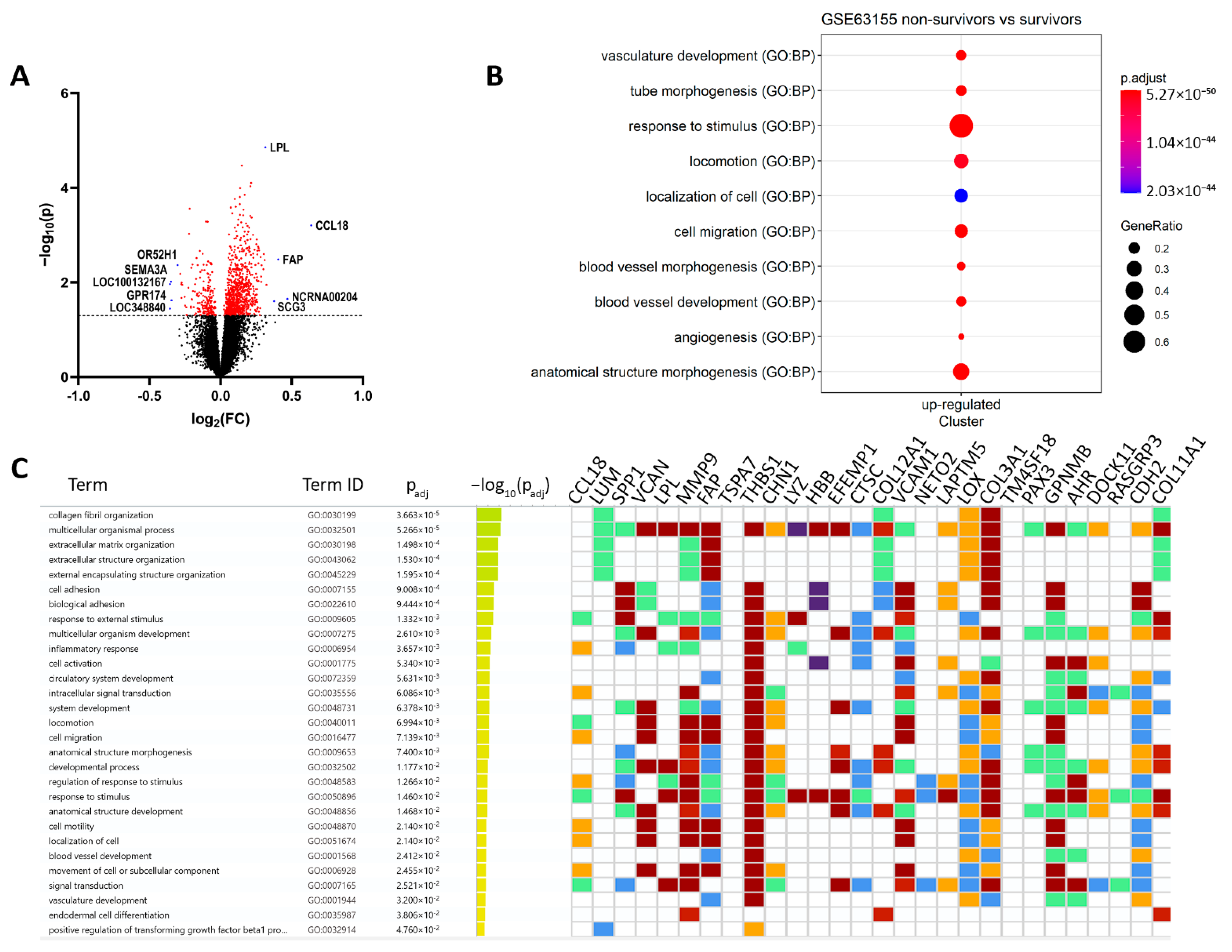 Cancers 14 05498 g001
