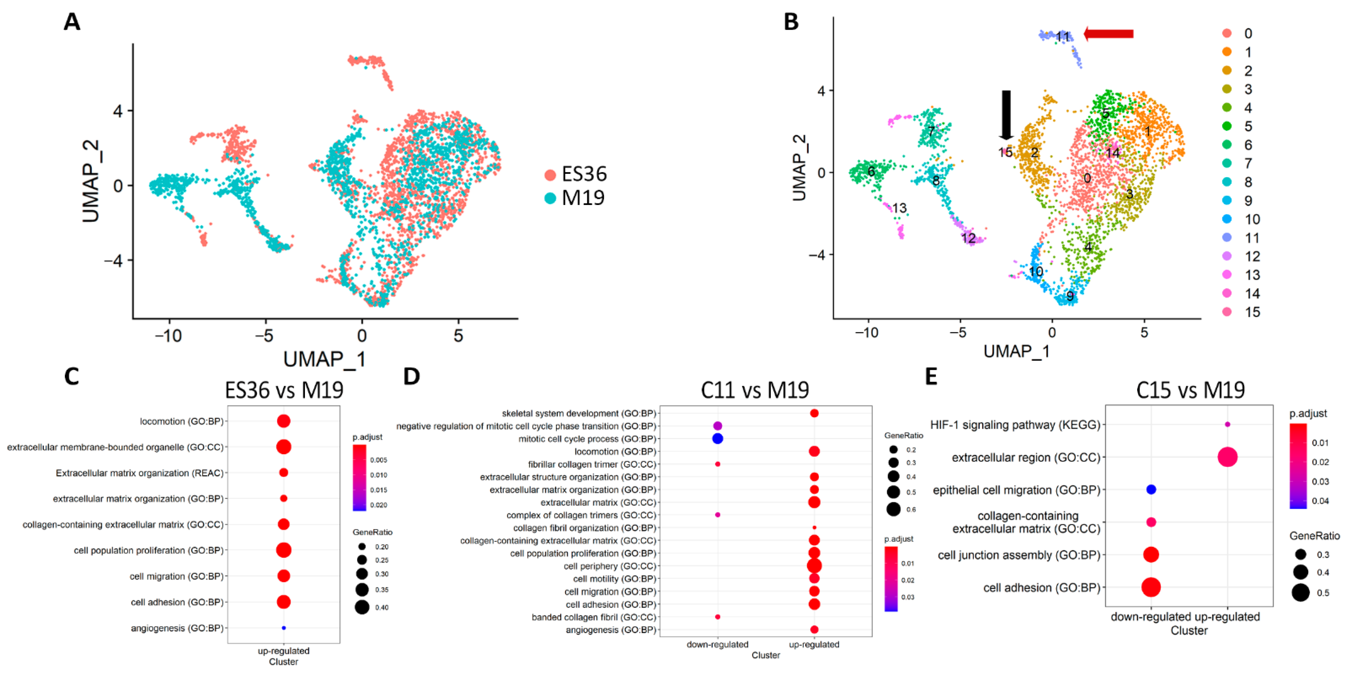 Cancers 14 05498 g003