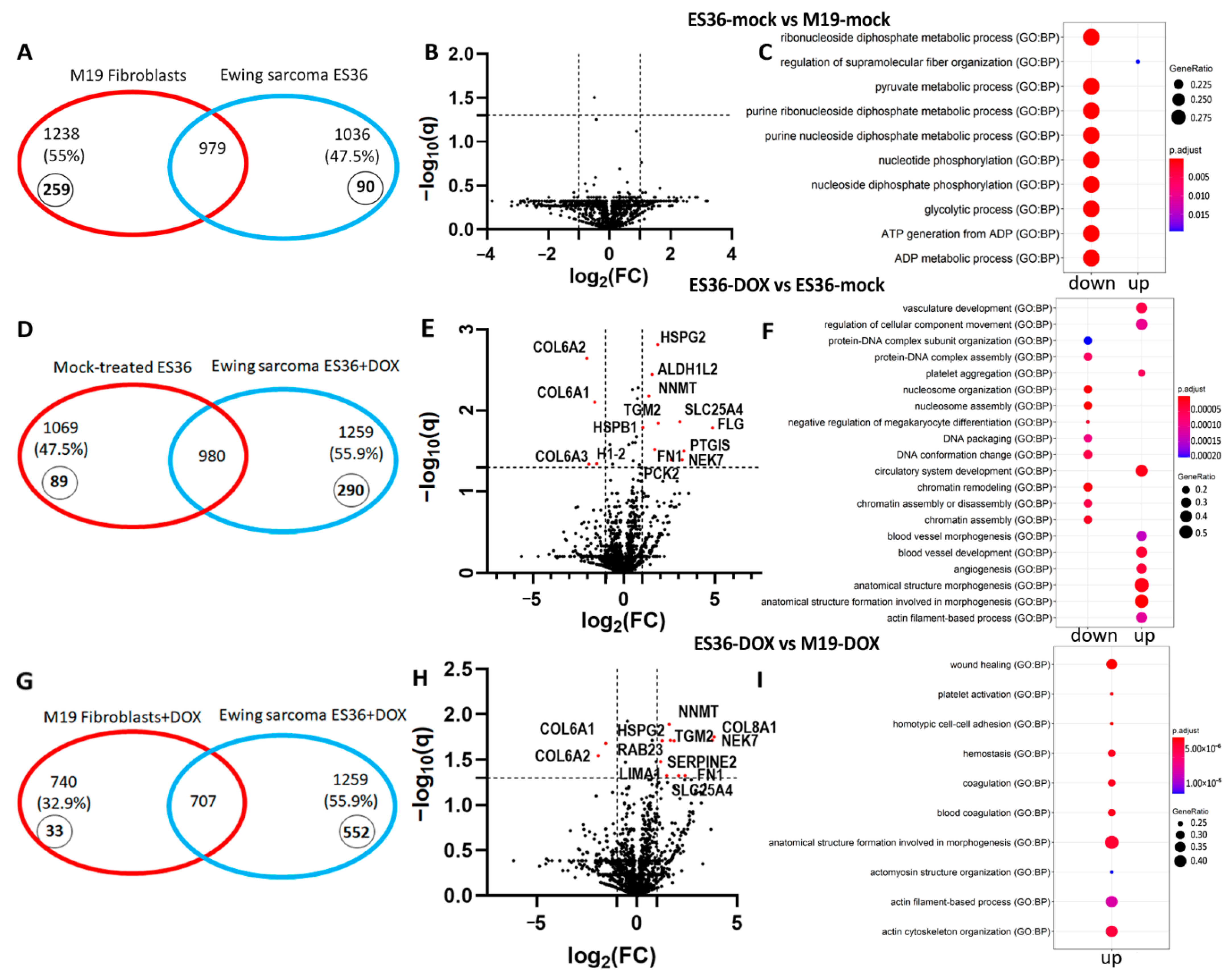 Cancers 14 05498 g004