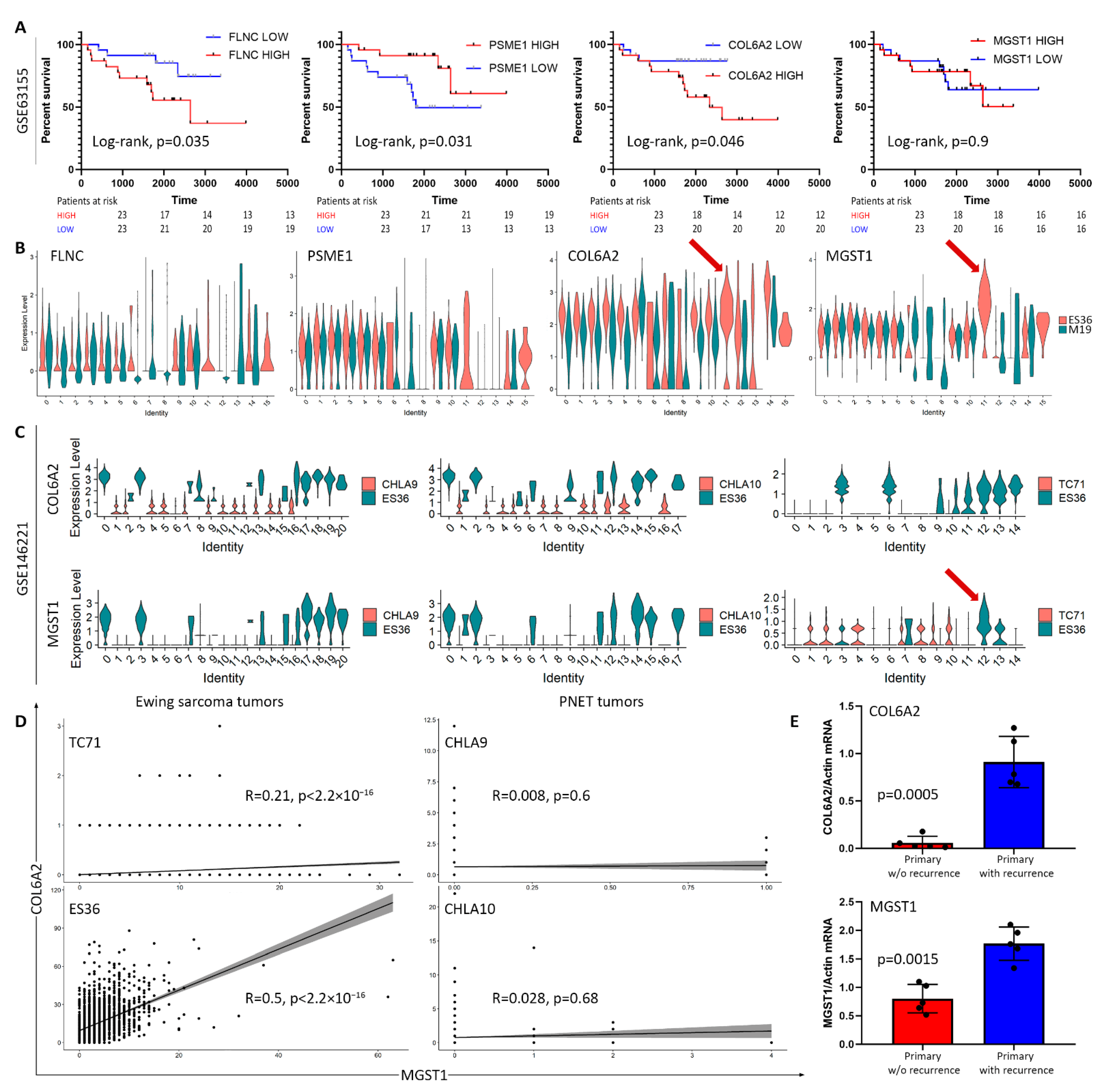 Cancers 14 05498 g005