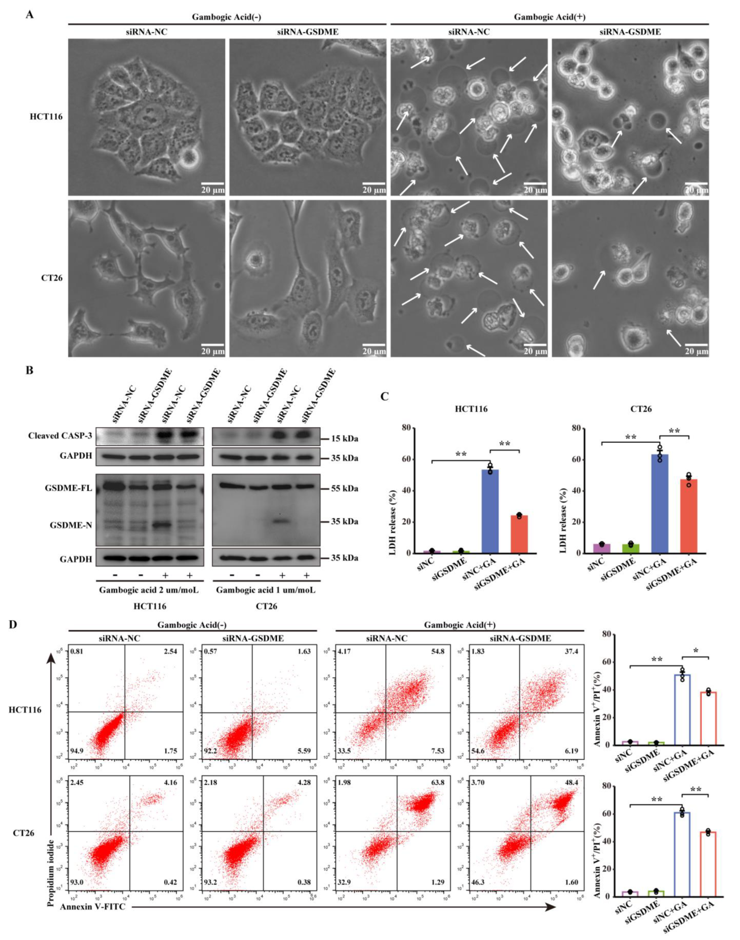 Cancers 14 05505 g005 Cancers 14 05505 g005