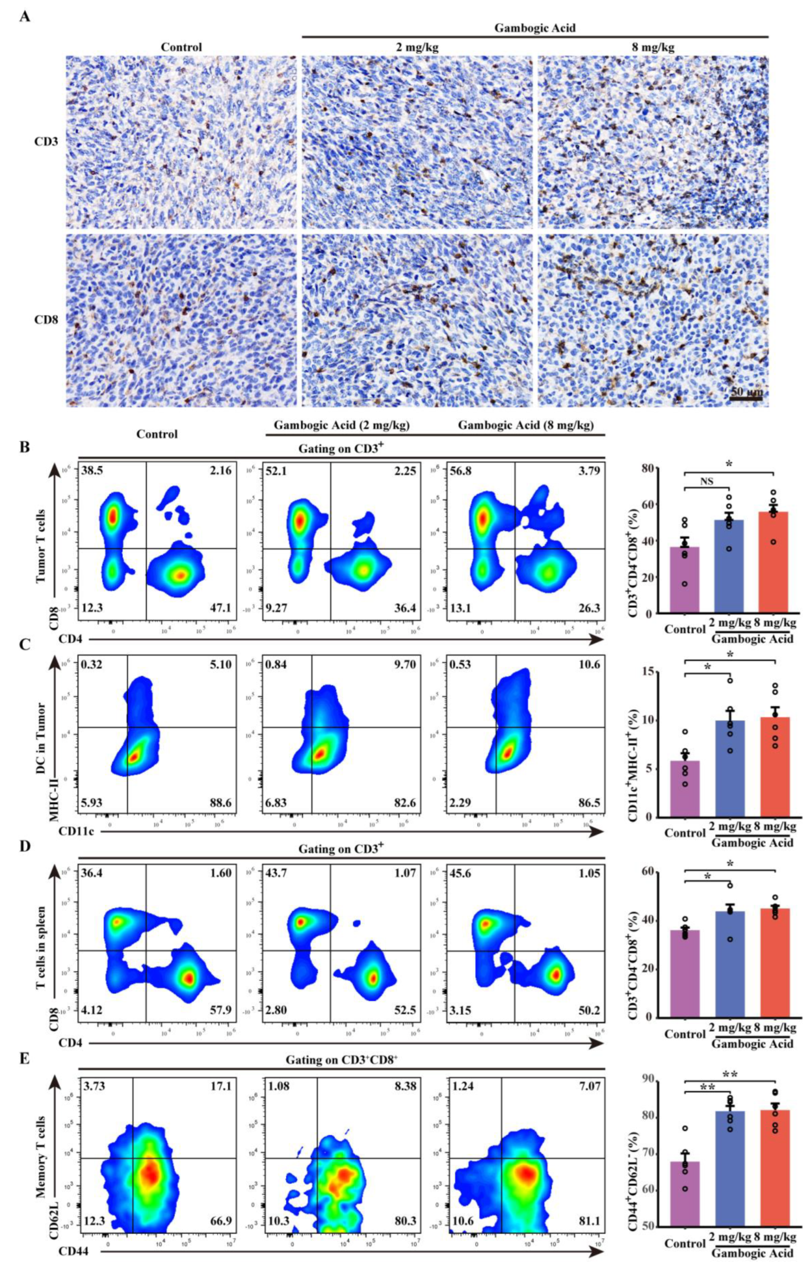 Cancers 14 05505 g008 Cancers 14 05505 g008