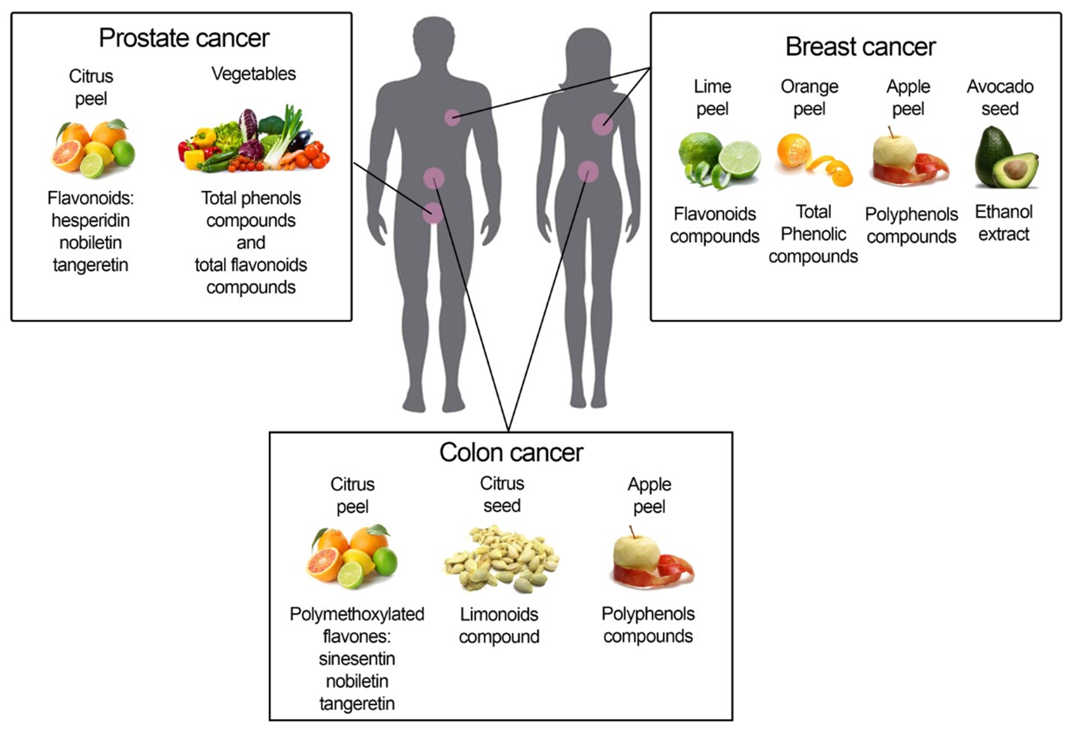 Cancers 14 05517 g002 Cancers 14 05517 g002