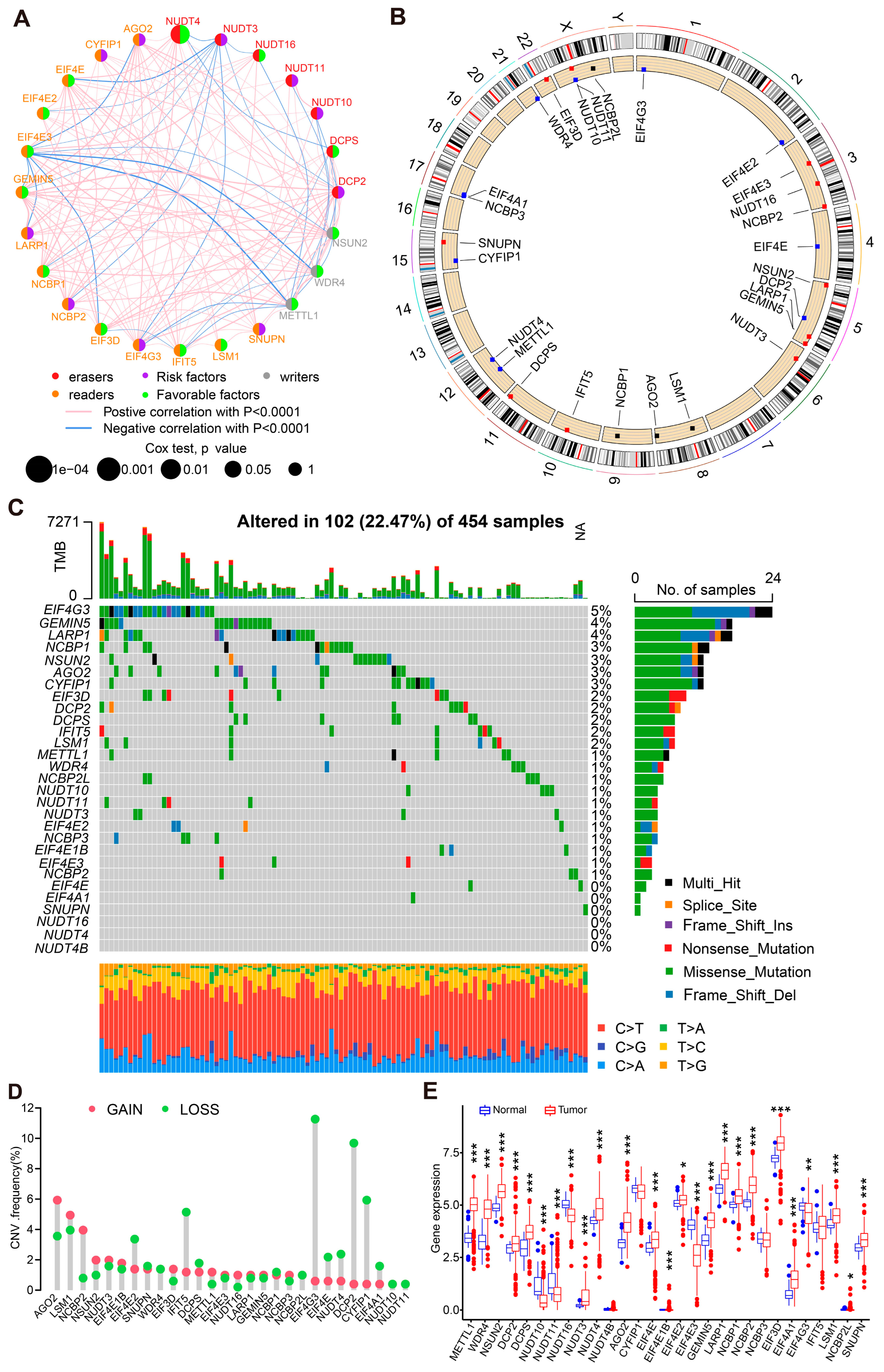 Cancers 14 05527 g001 Cancers 14 05527 g001