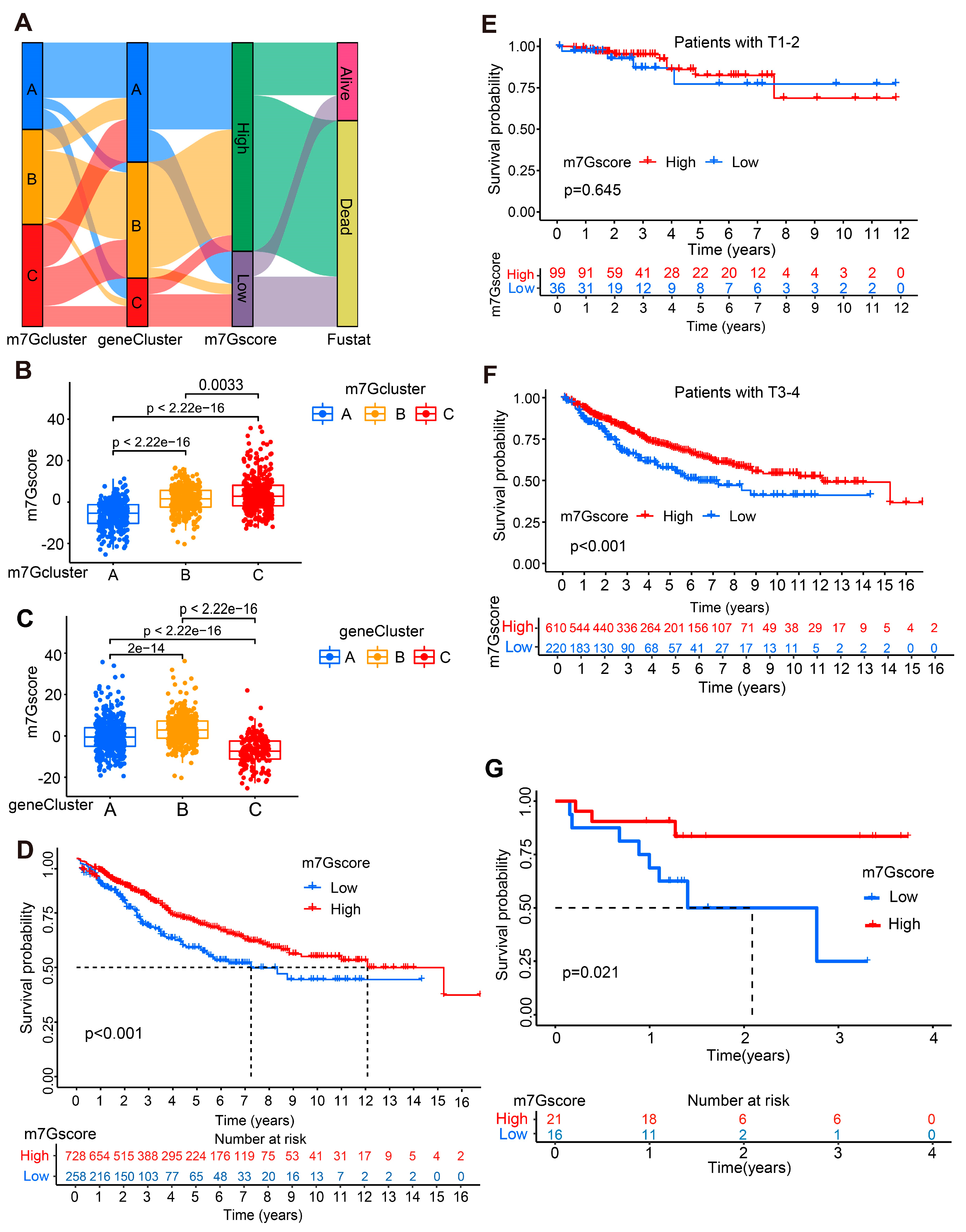 Cancers 14 05527 g005 Cancers 14 05527 g005