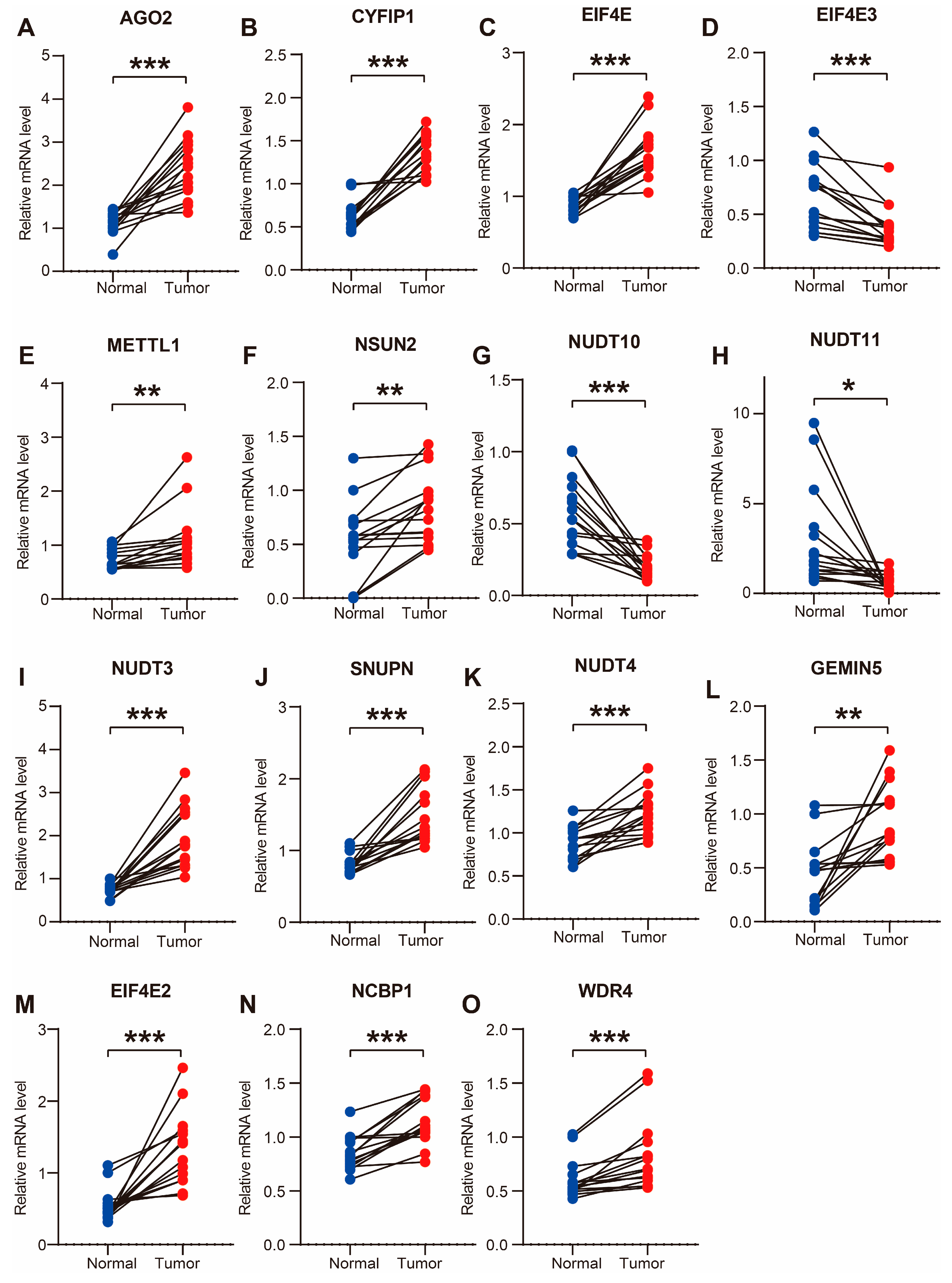 Cancers 14 05527 g007 Cancers 14 05527 g007