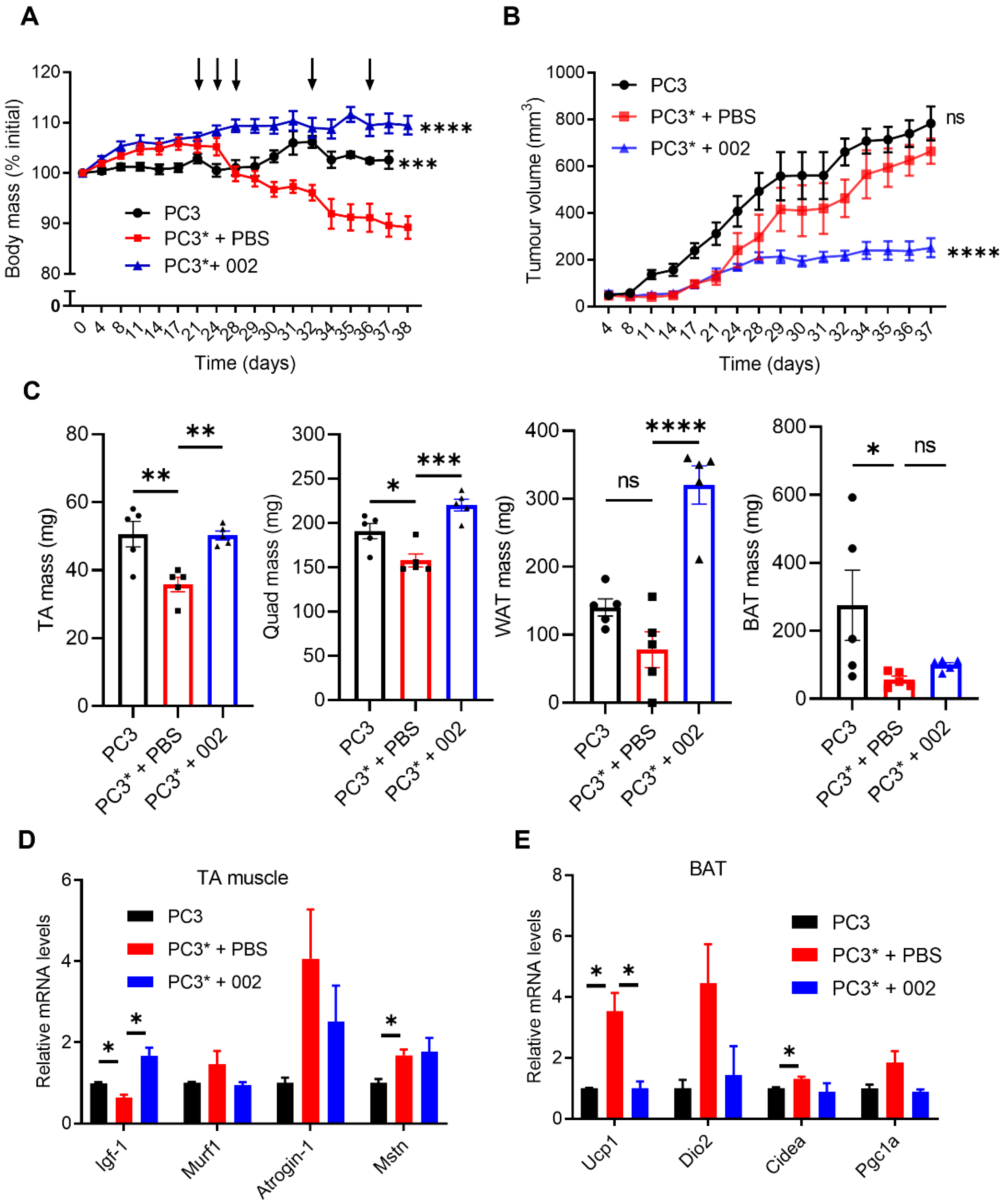 Cancers 14 05533 g001