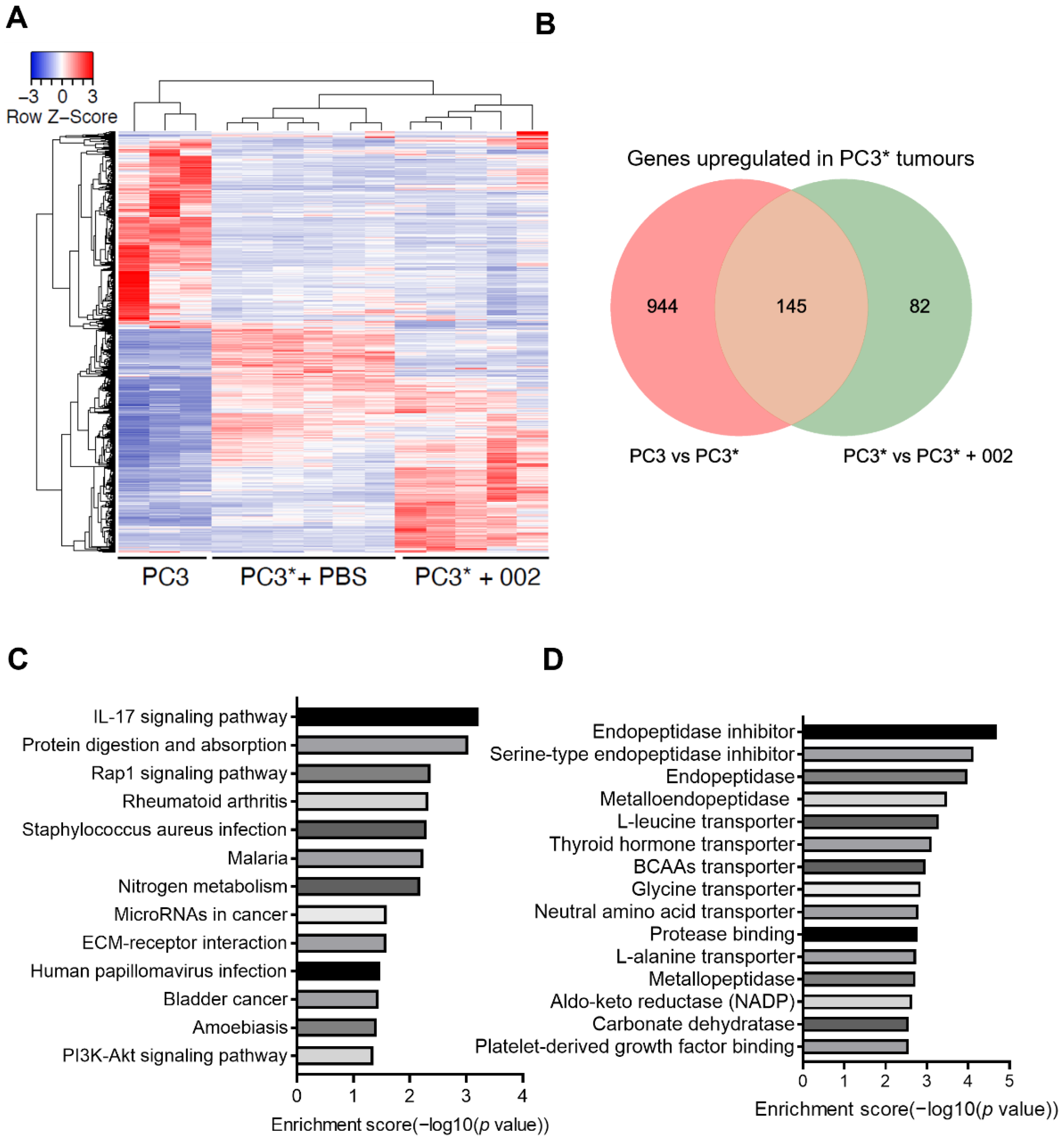 Cancers 14 05533 g002
