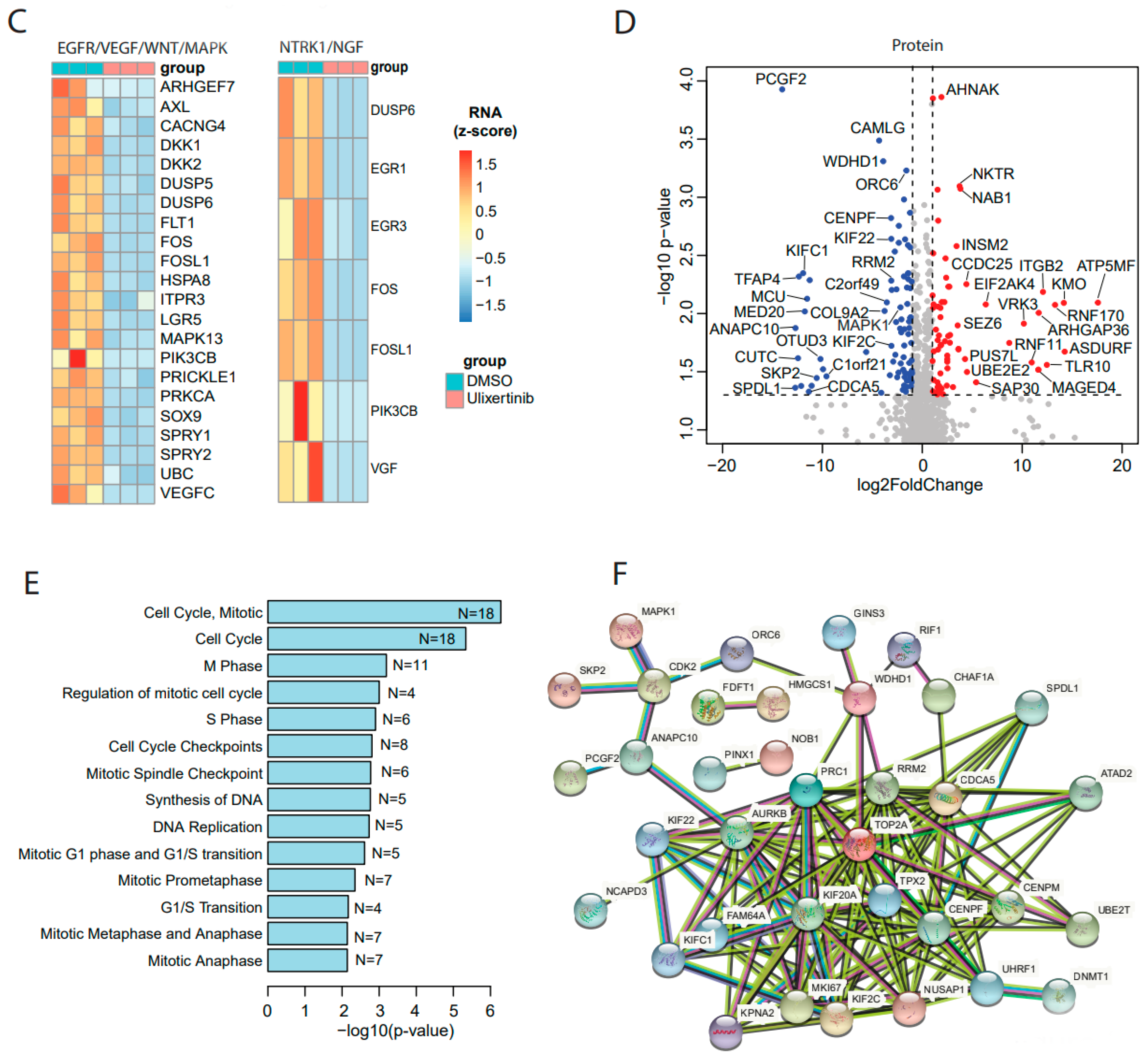Cancers 14 05534 g003b