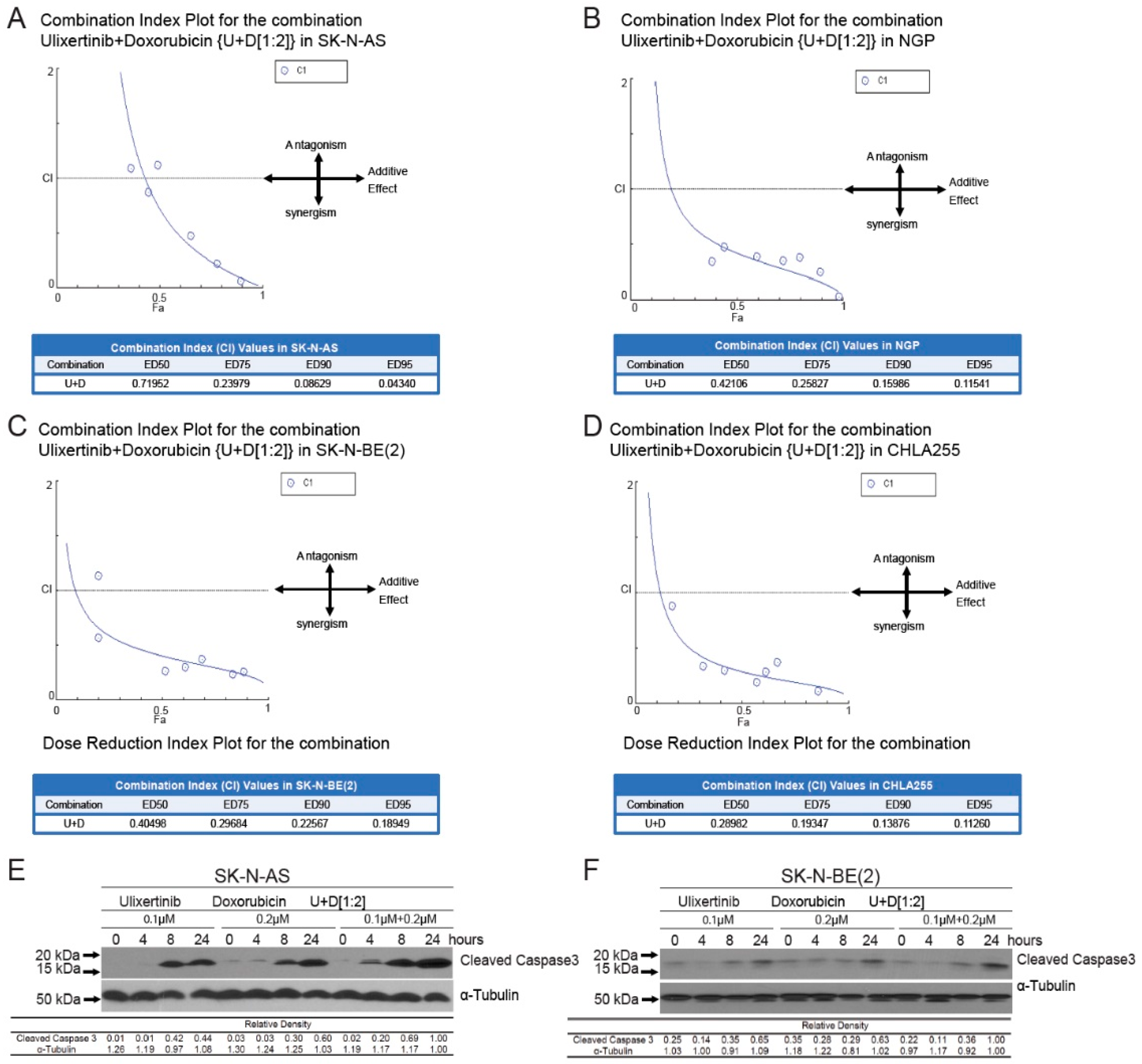Cancers 14 05534 g004