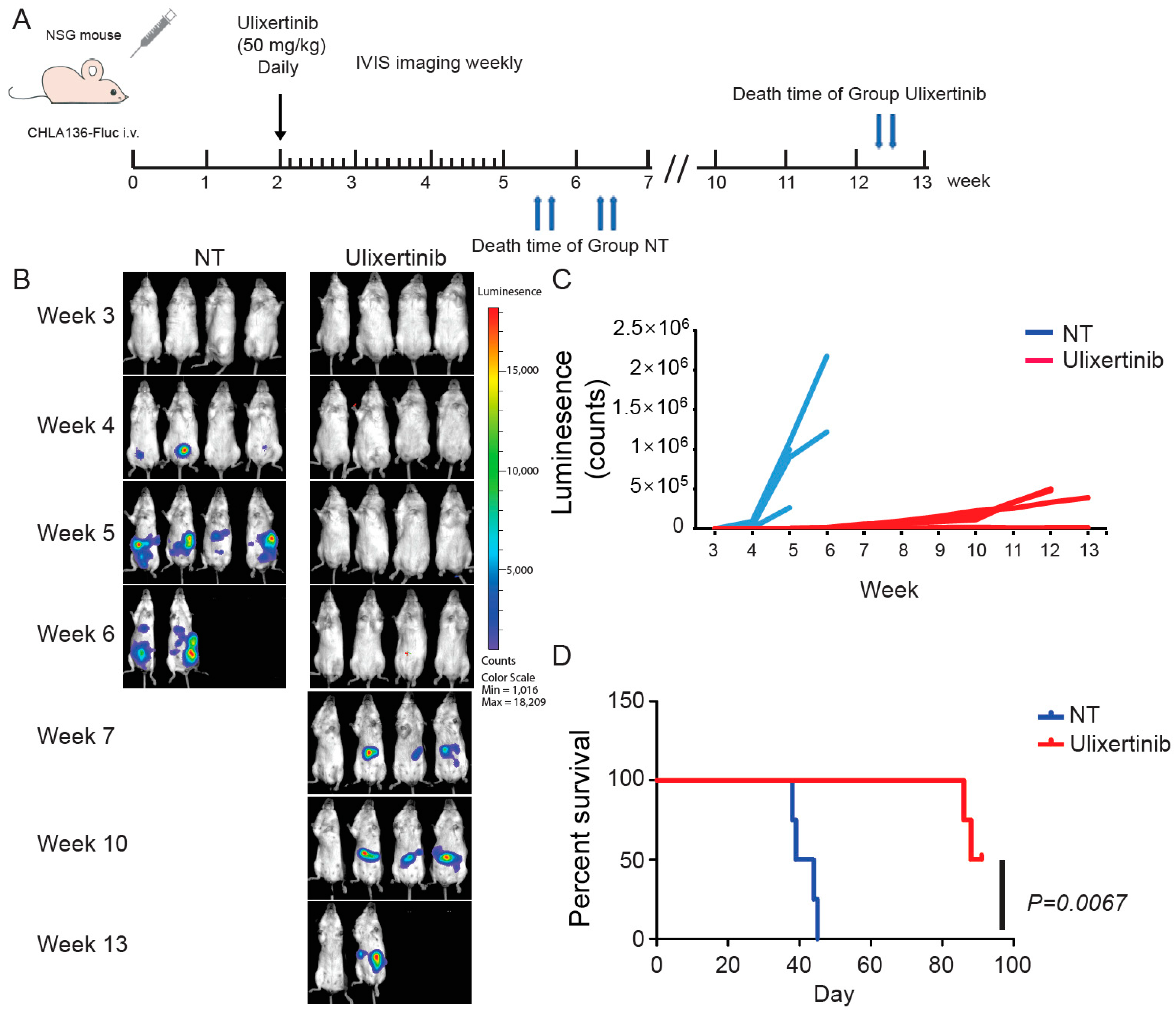 Cancers 14 05534 g005