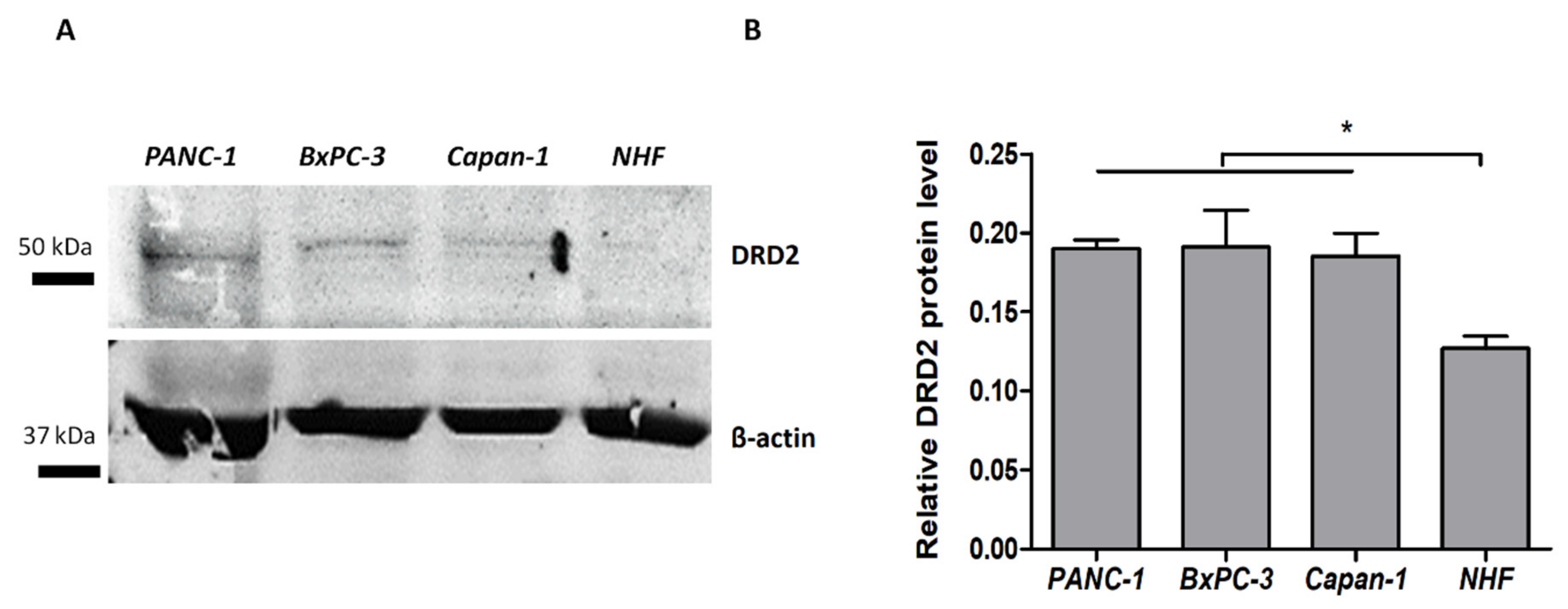 Cancers 14 05535 g003
