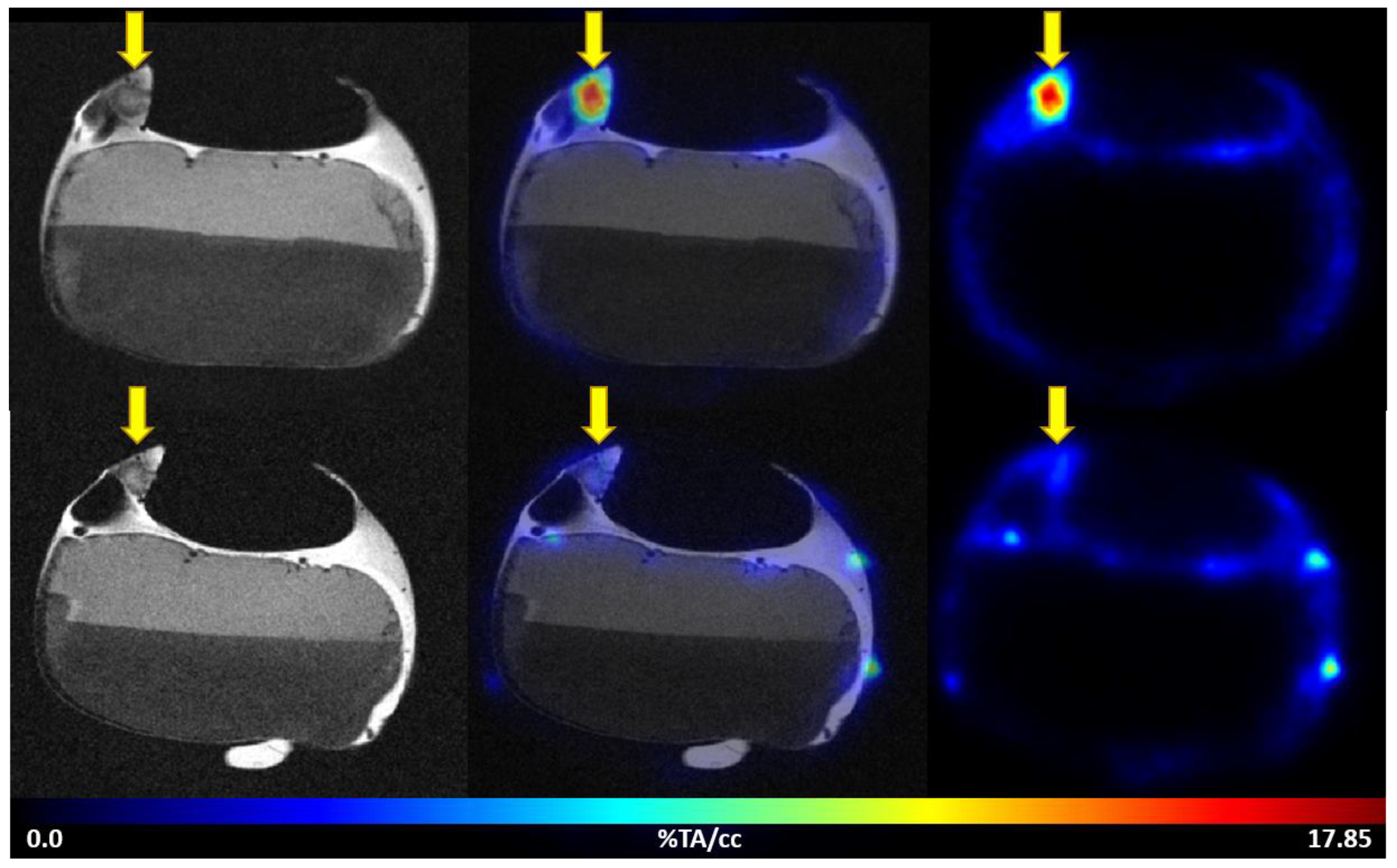 Cancers 14 05549 g003