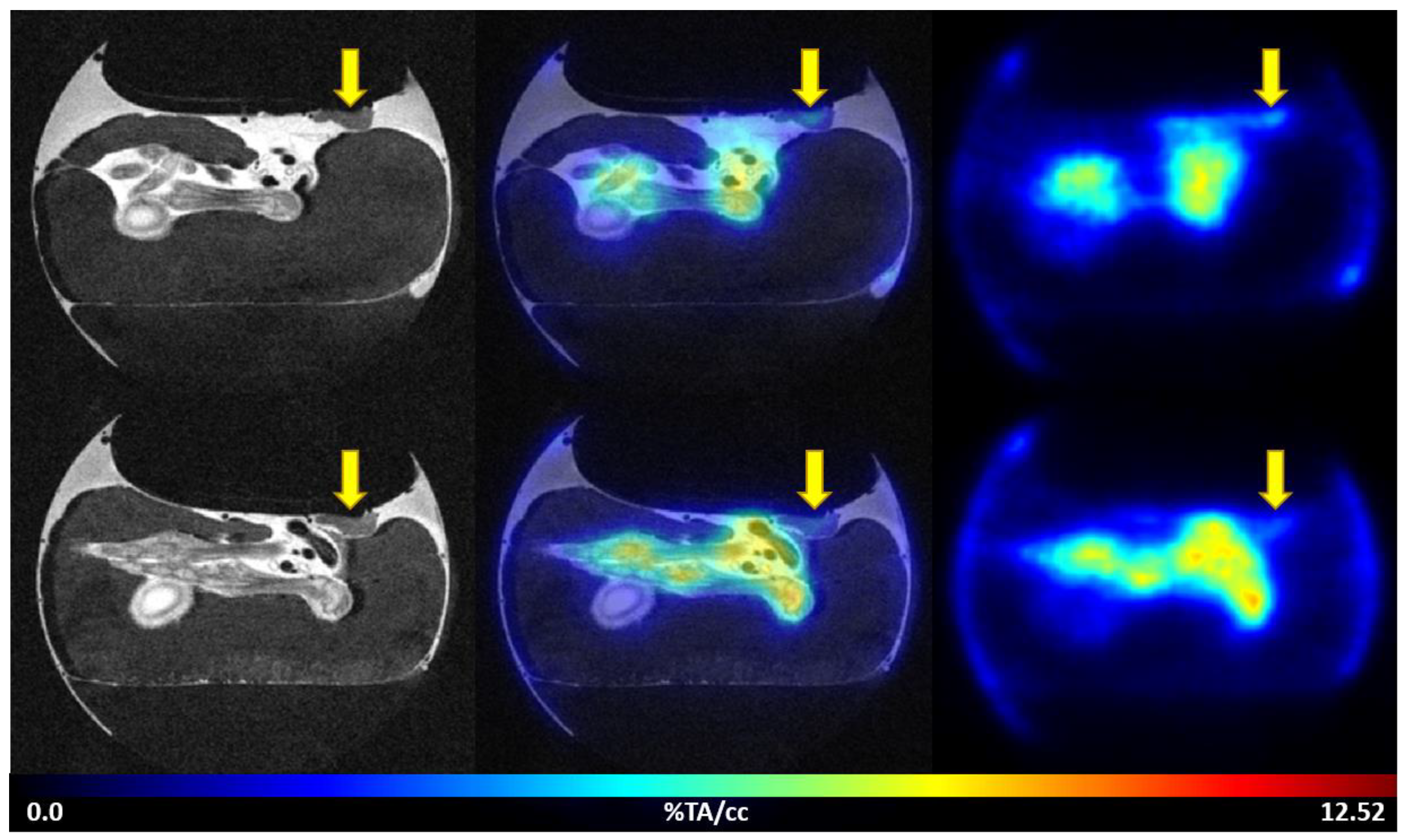 Cancers 14 05549 g004