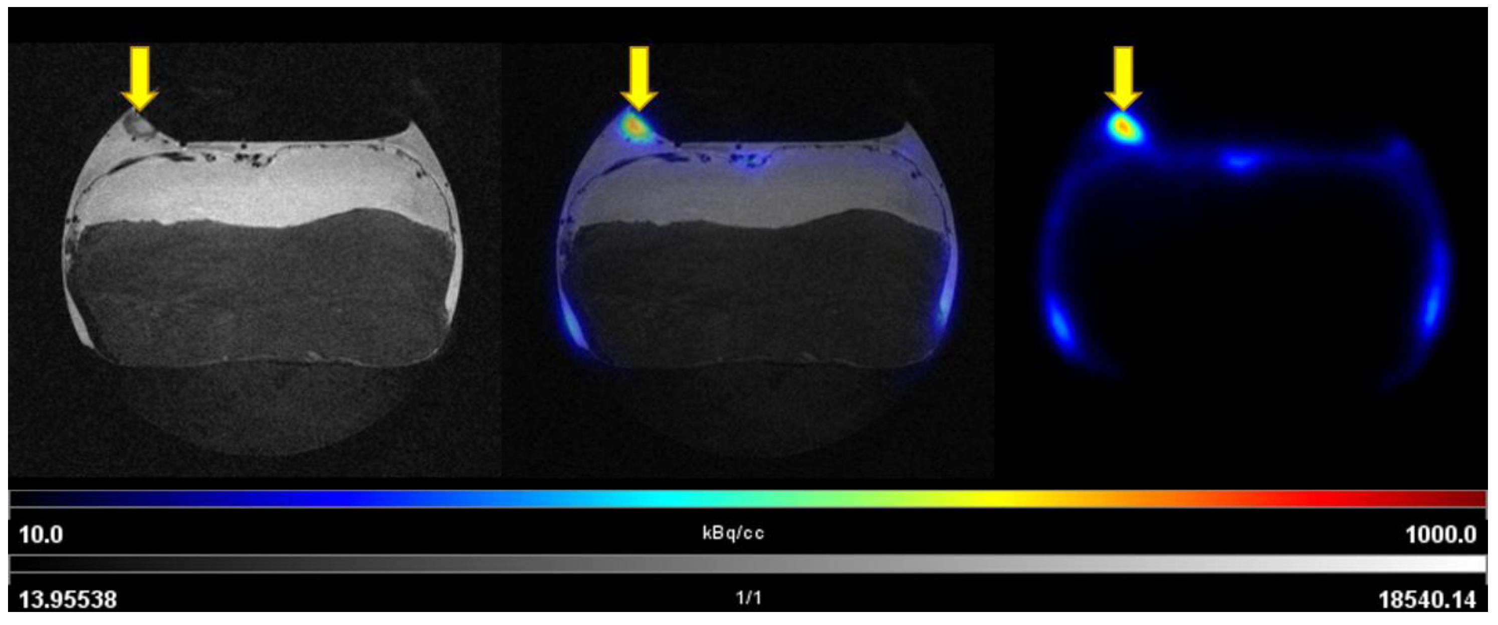 Cancers 14 05549 g006