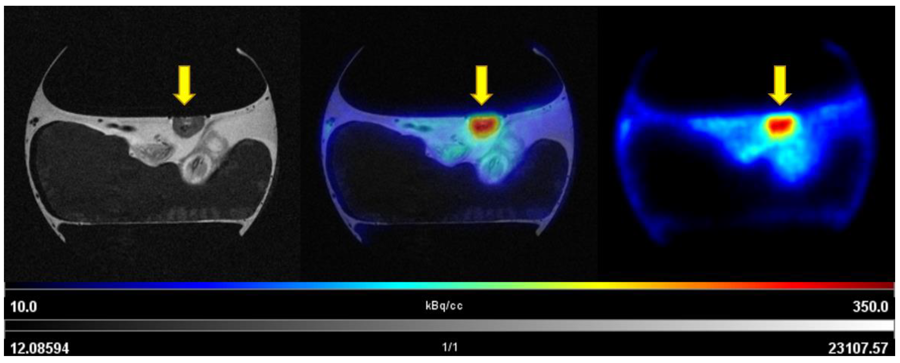 Cancers 14 05549 g007