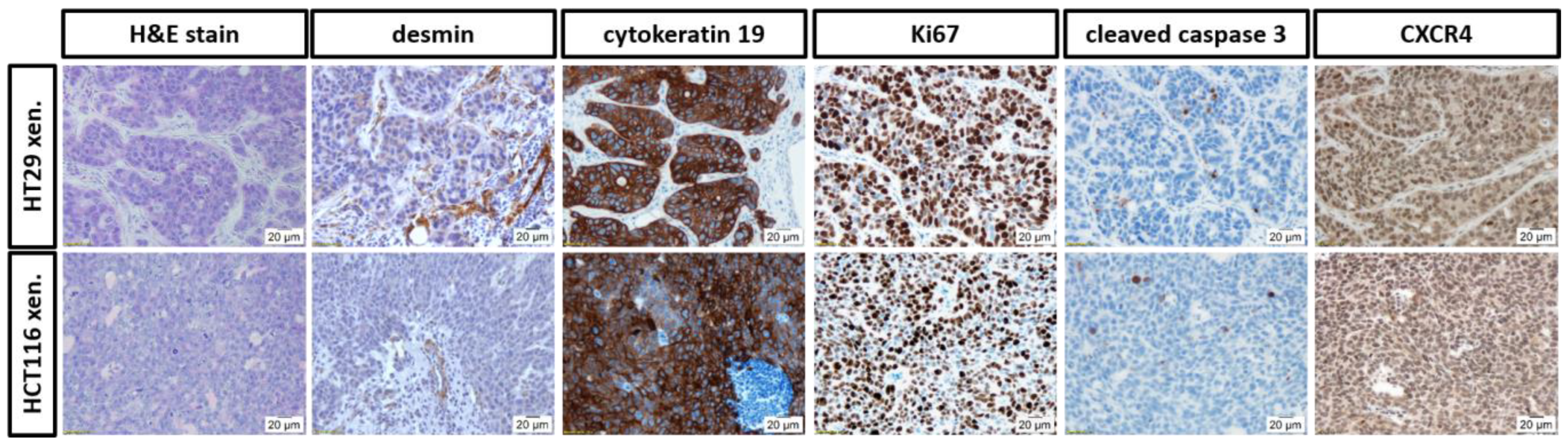 Cancers 14 05549 g008