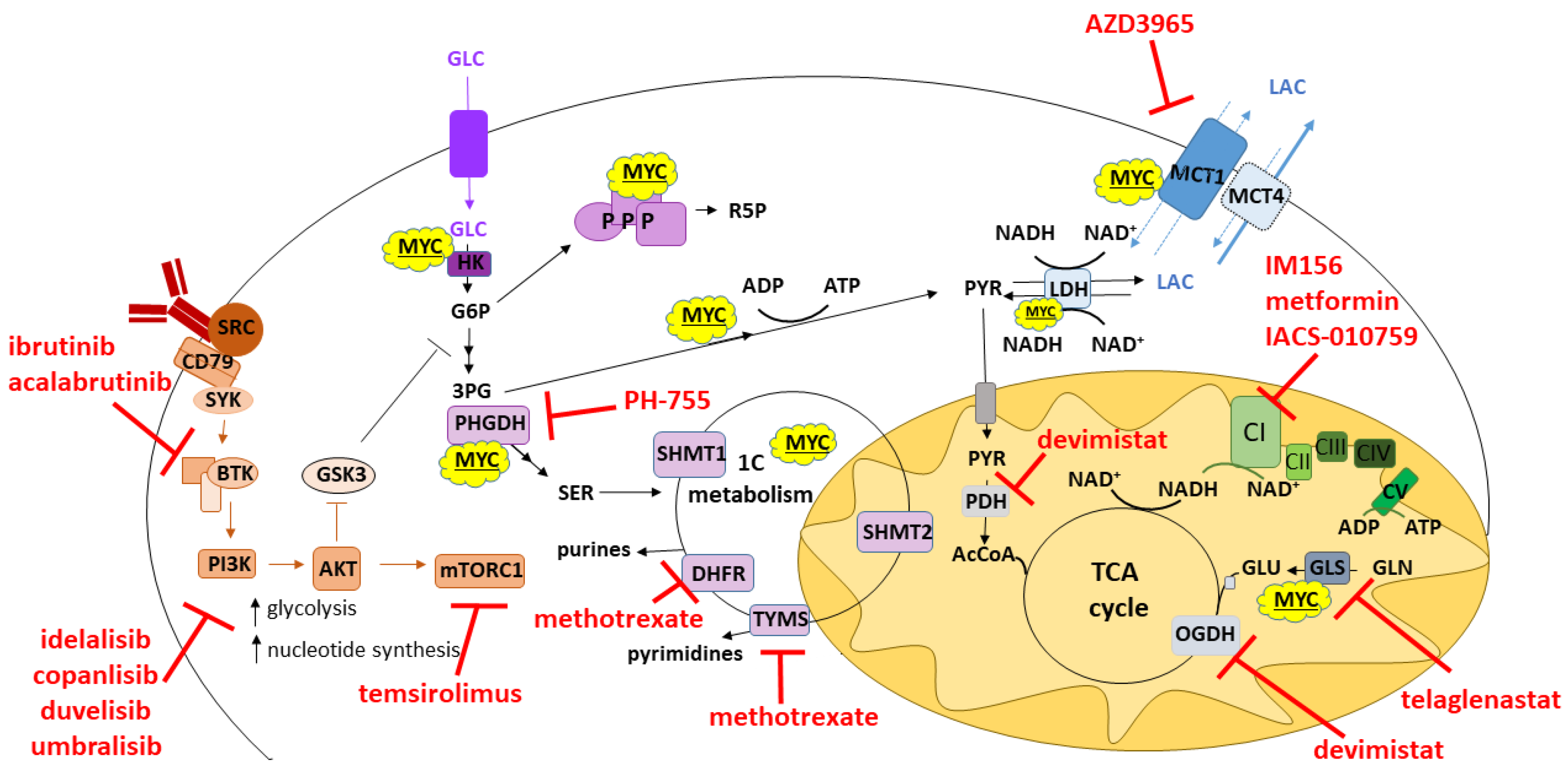 Cancers 14 05552 g002