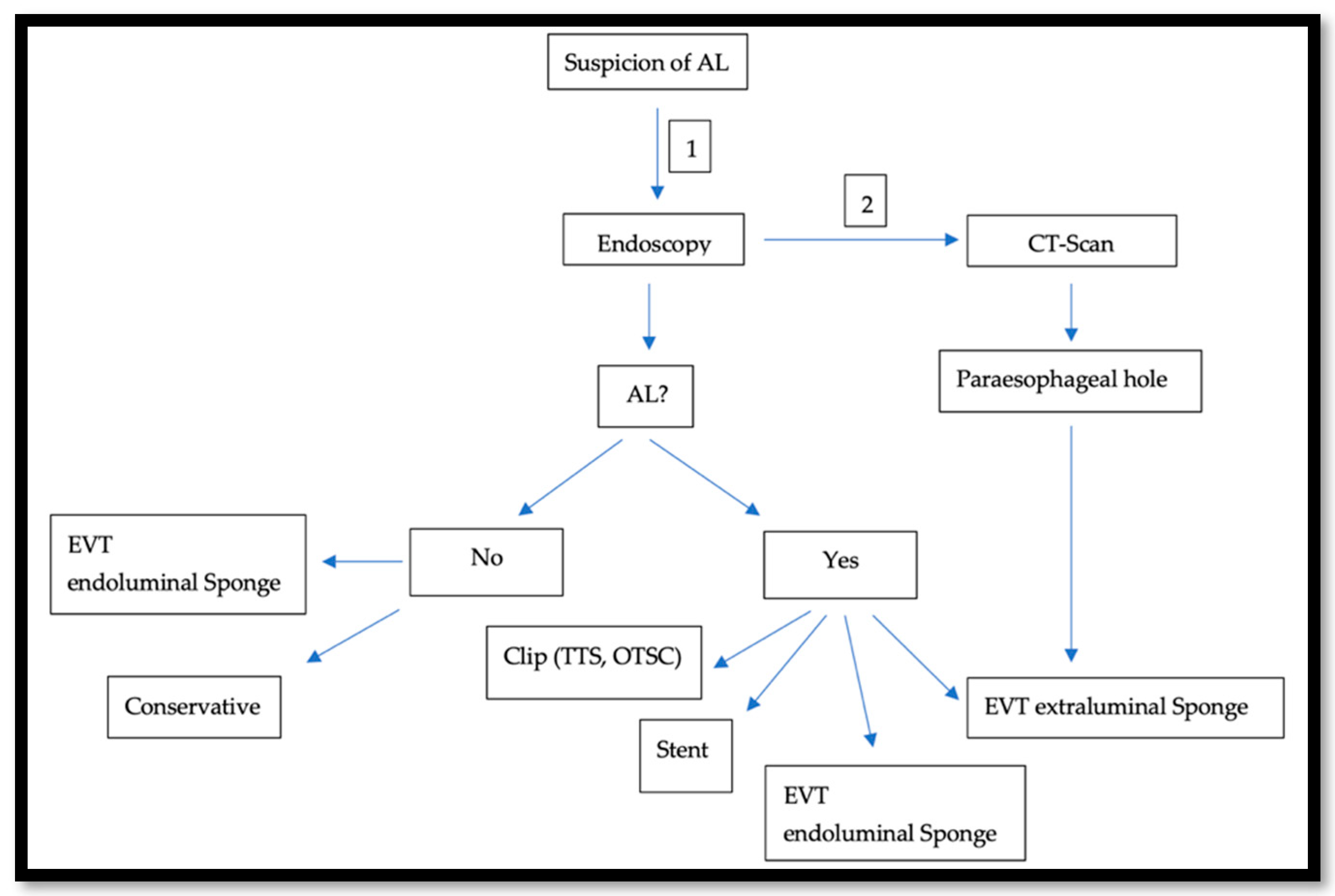 Cancers 14 05556 g002