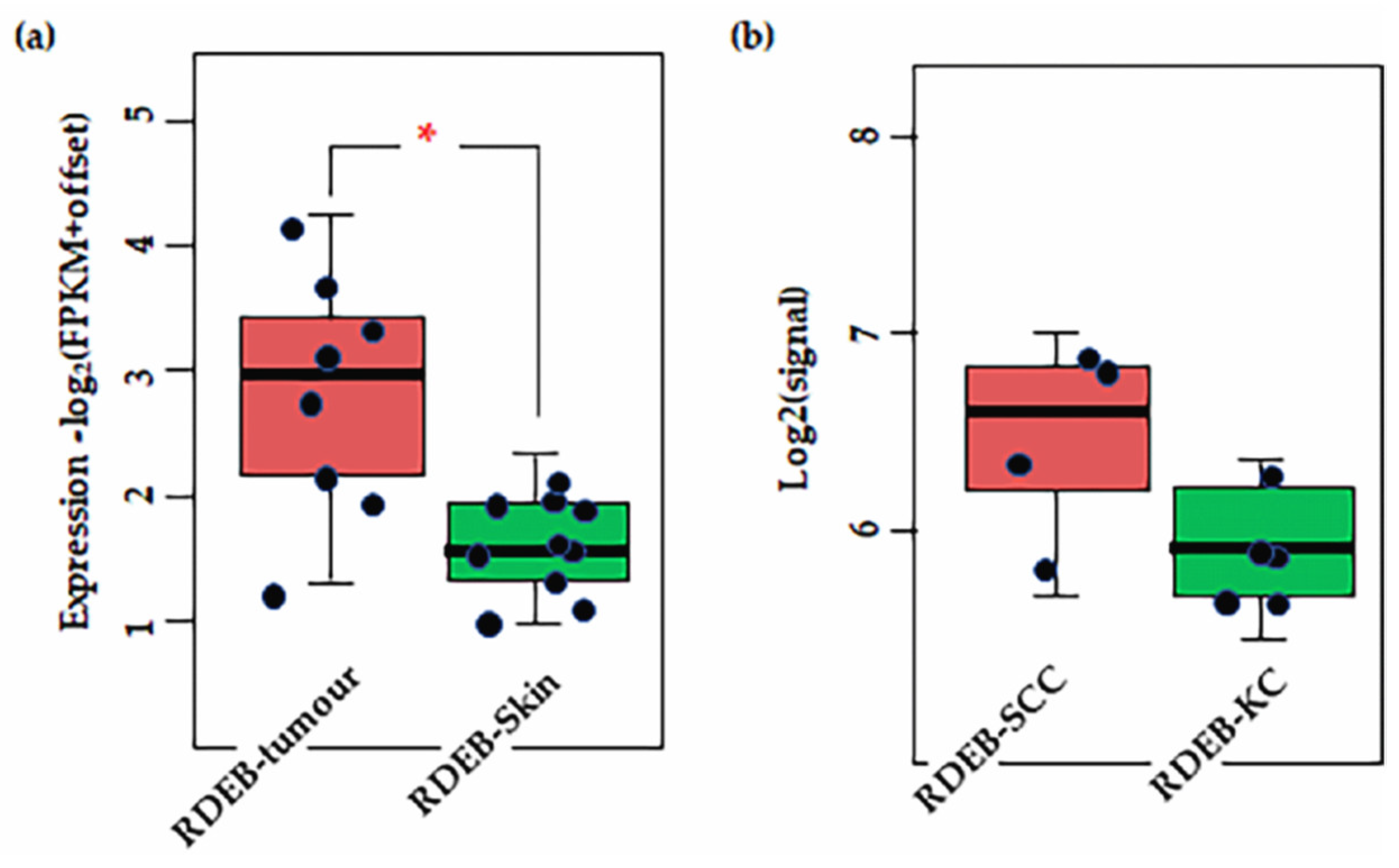 Cancers 14 05564 g004 Cancers 14 05564 g004